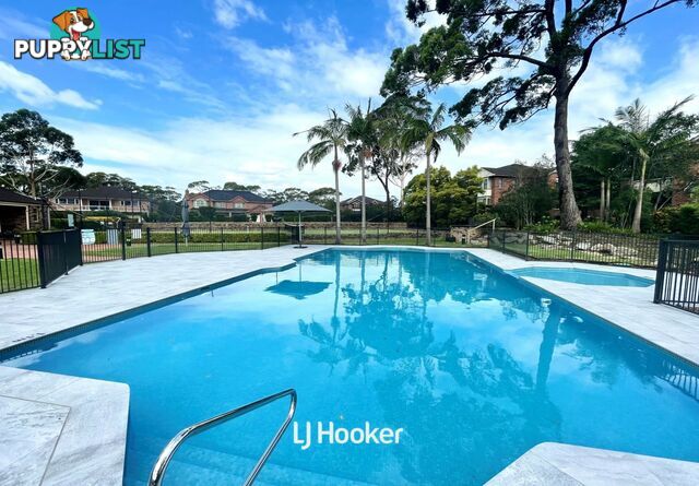 105/183 St Johns Ave GORDON NSW 2072