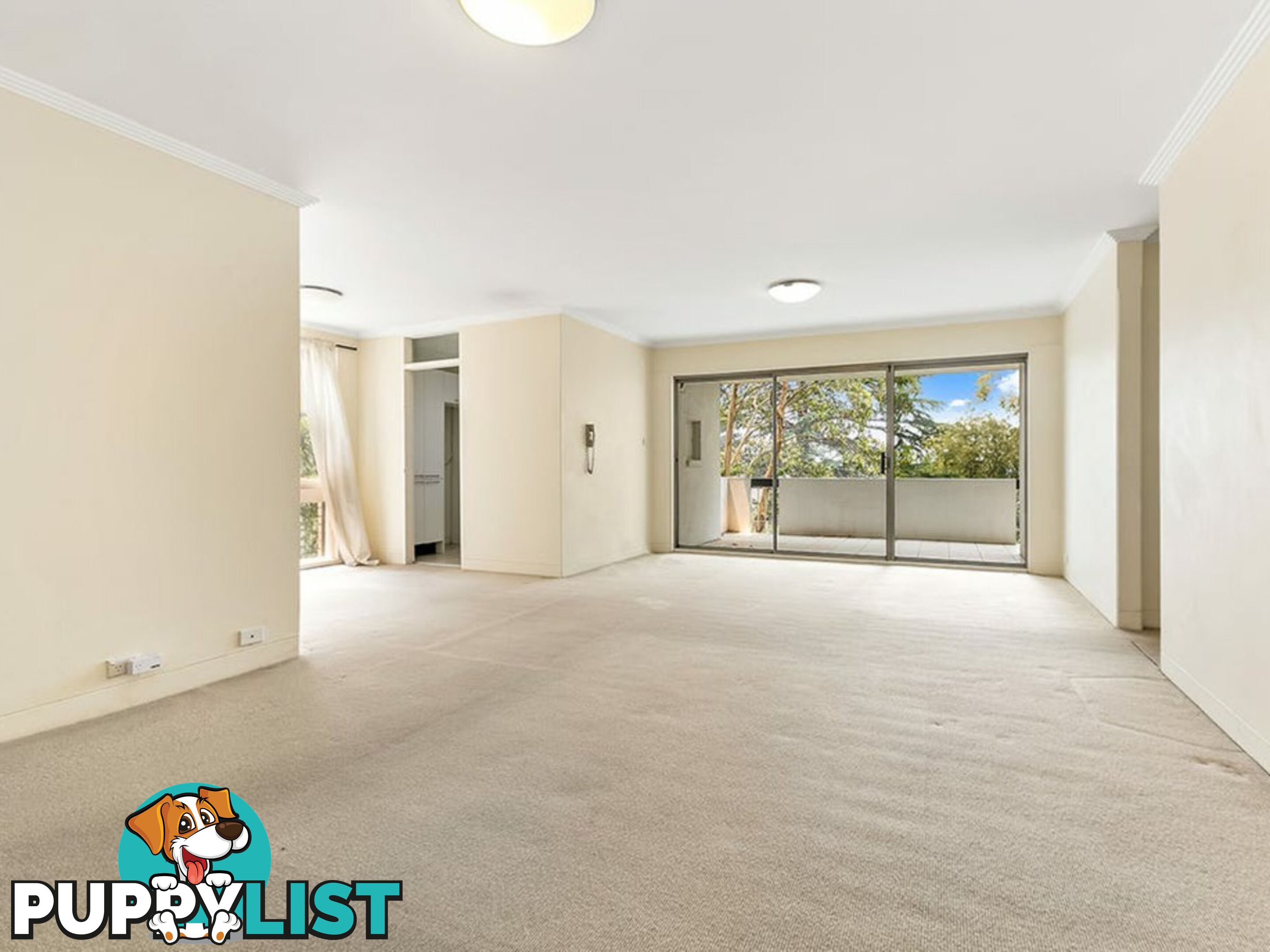 6/460 Pacific Highway LINDFIELD NSW 2070