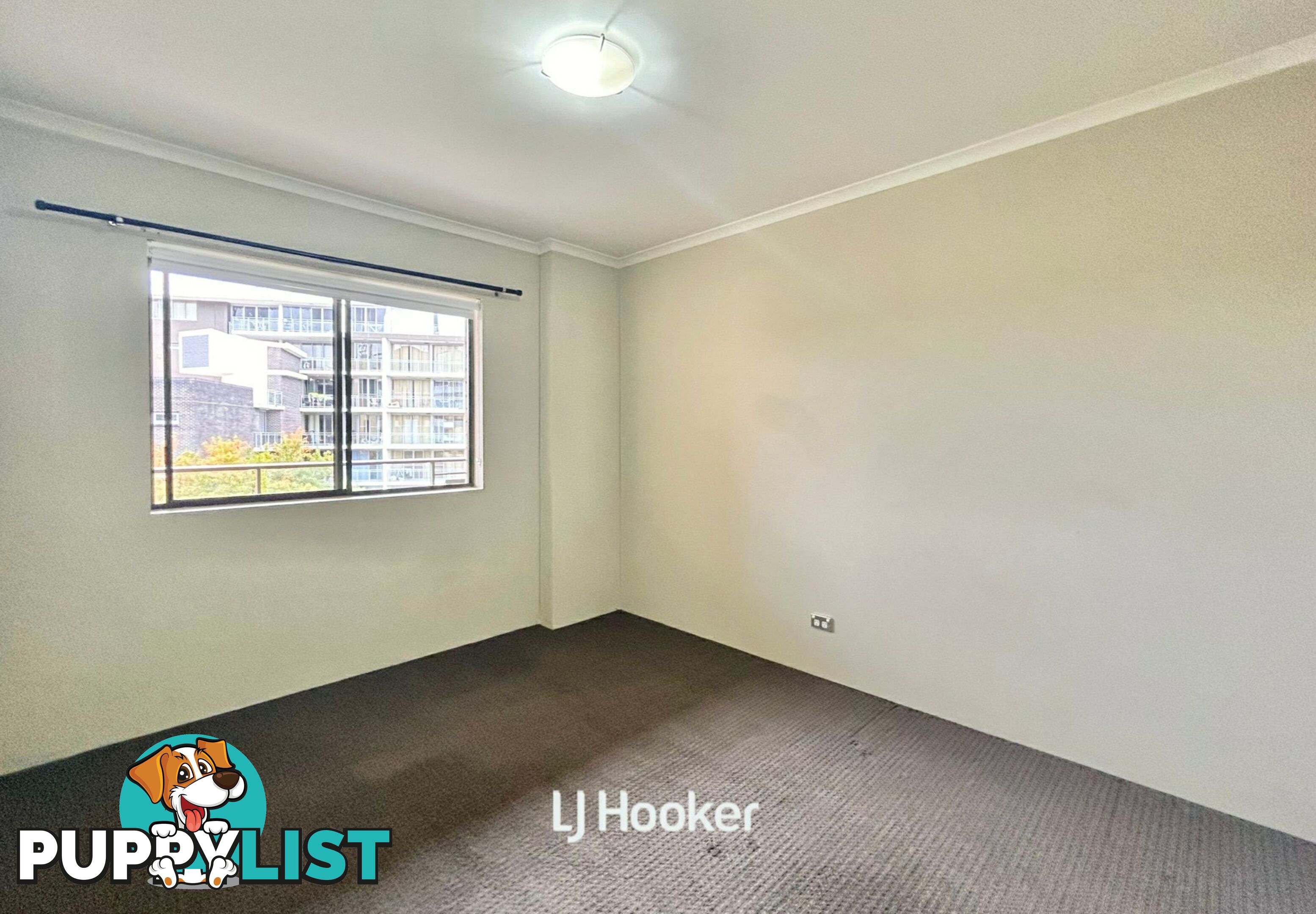 60/1 Clarence Street STRATHFIELD NSW 2135