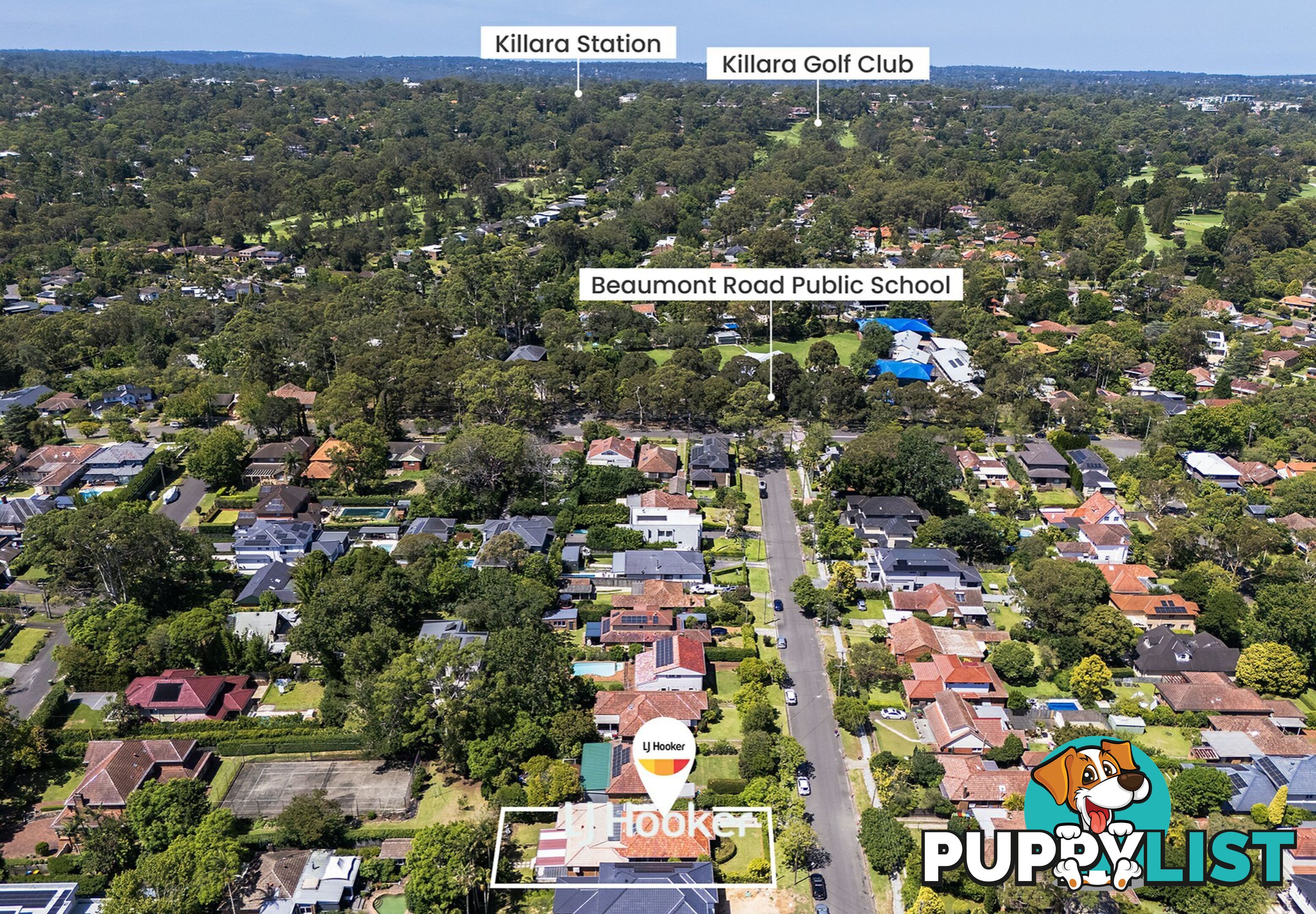 19 Eustace Parade KILLARA NSW 2071