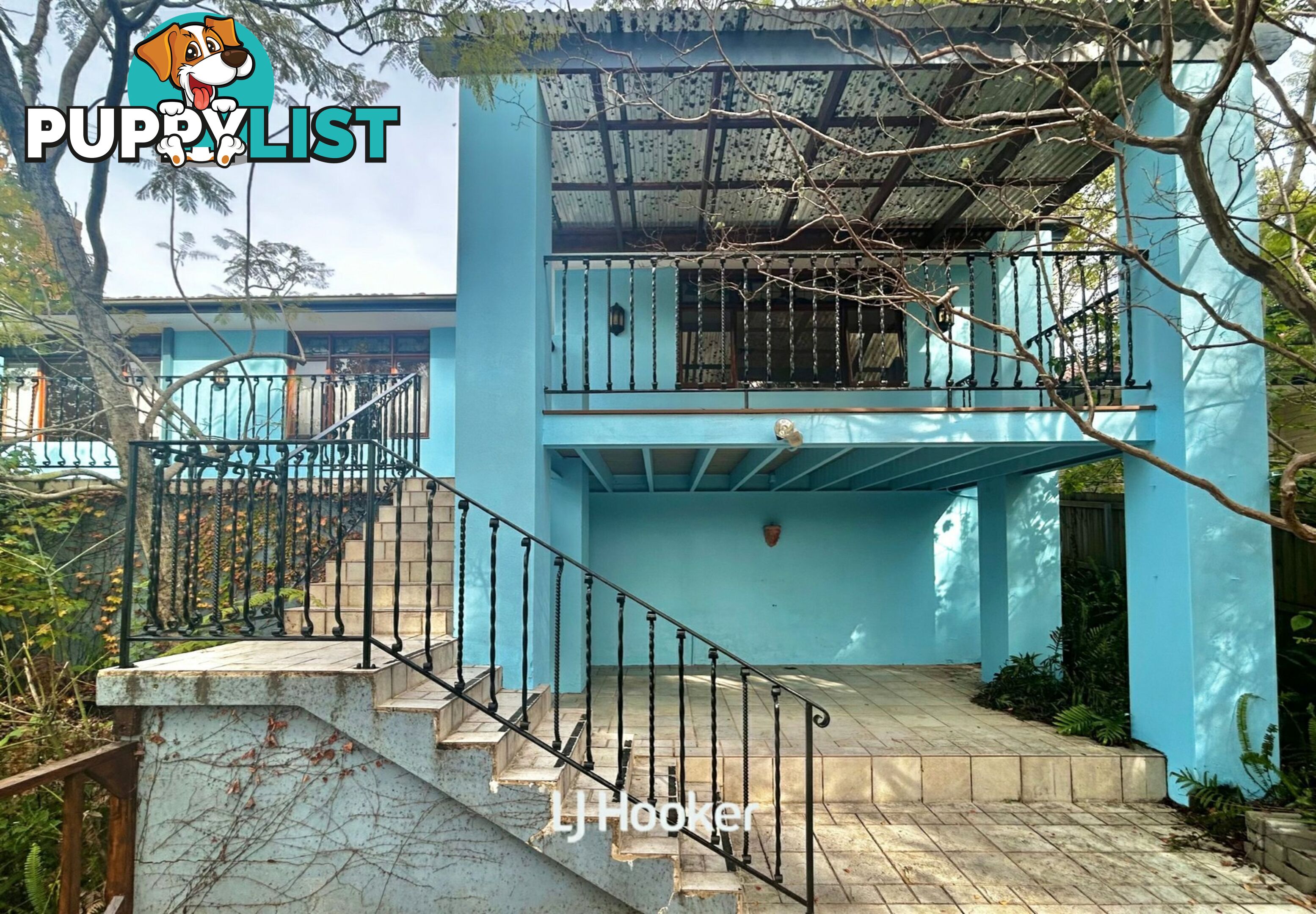 37 Elgin Street GORDON NSW 2072