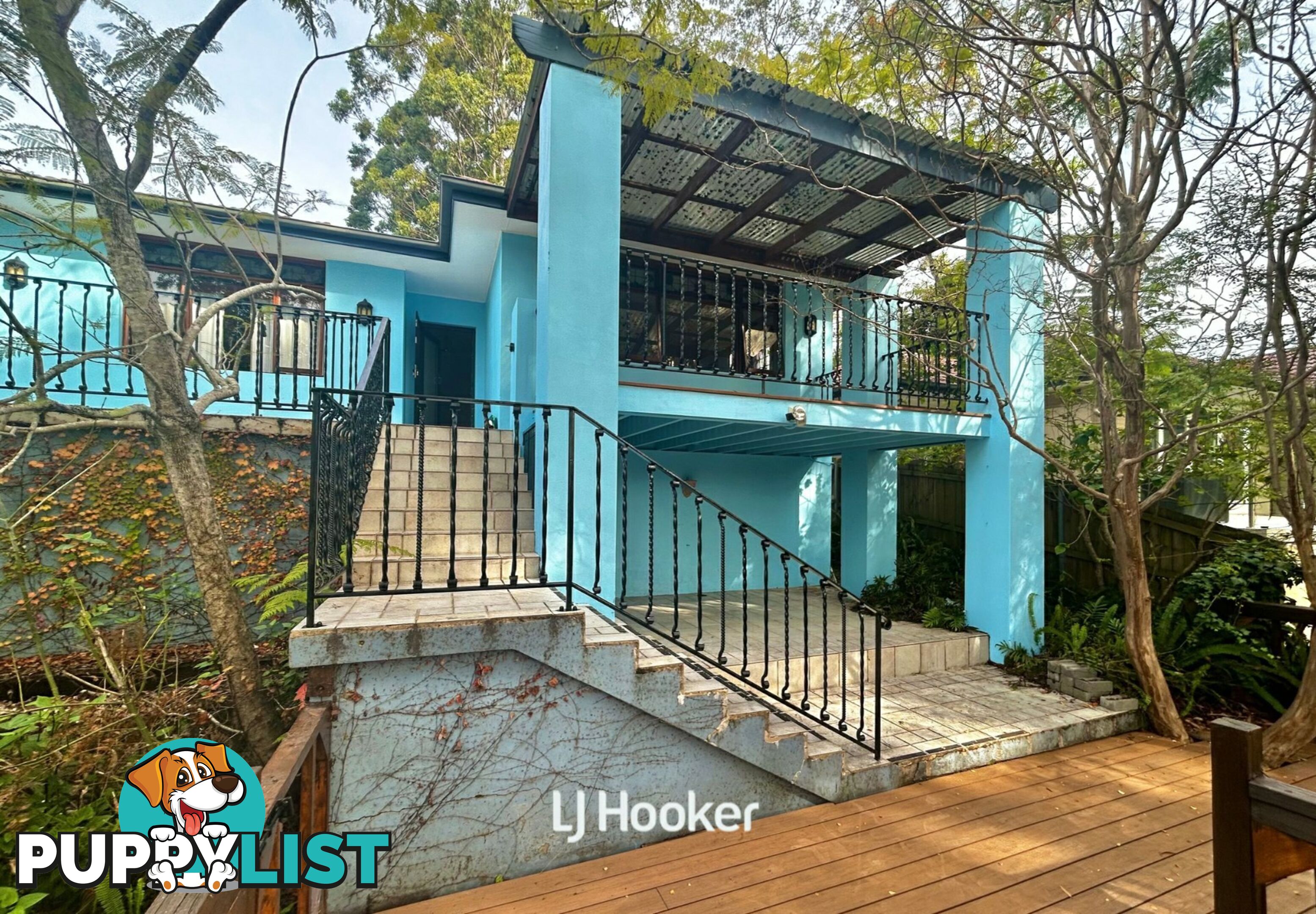 37 Elgin Street GORDON NSW 2072