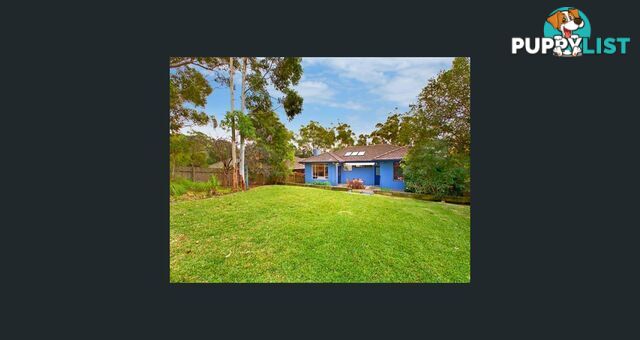 37 Elgin Street GORDON NSW 2072