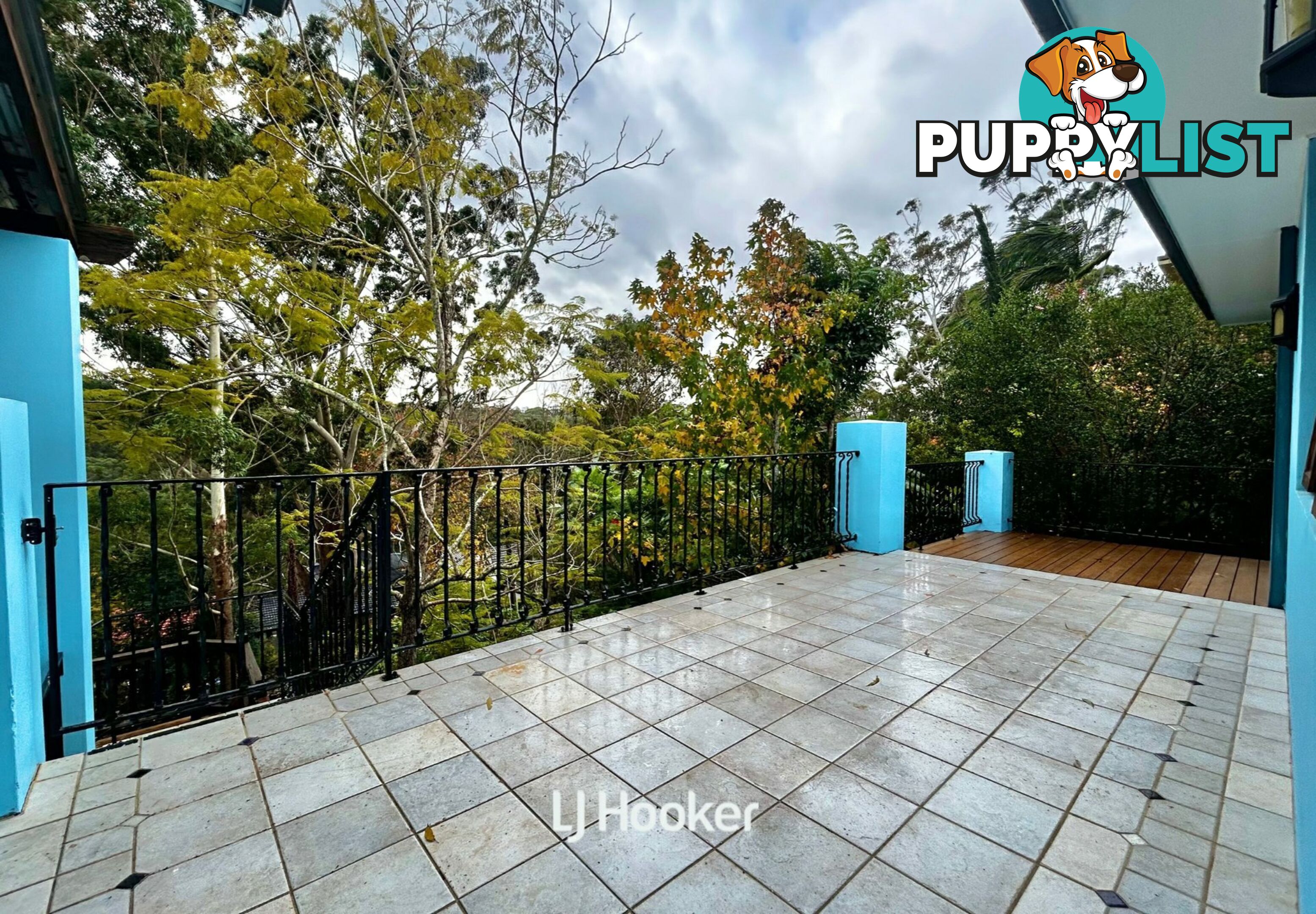 37 Elgin Street GORDON NSW 2072