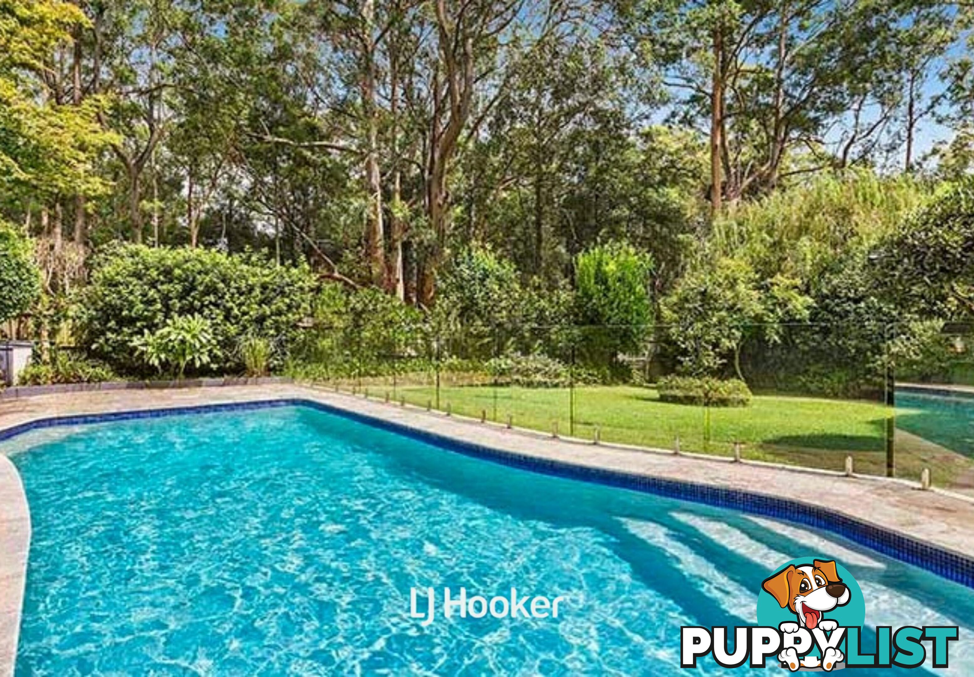 88 Pentecost Avenue PYMBLE NSW 2073