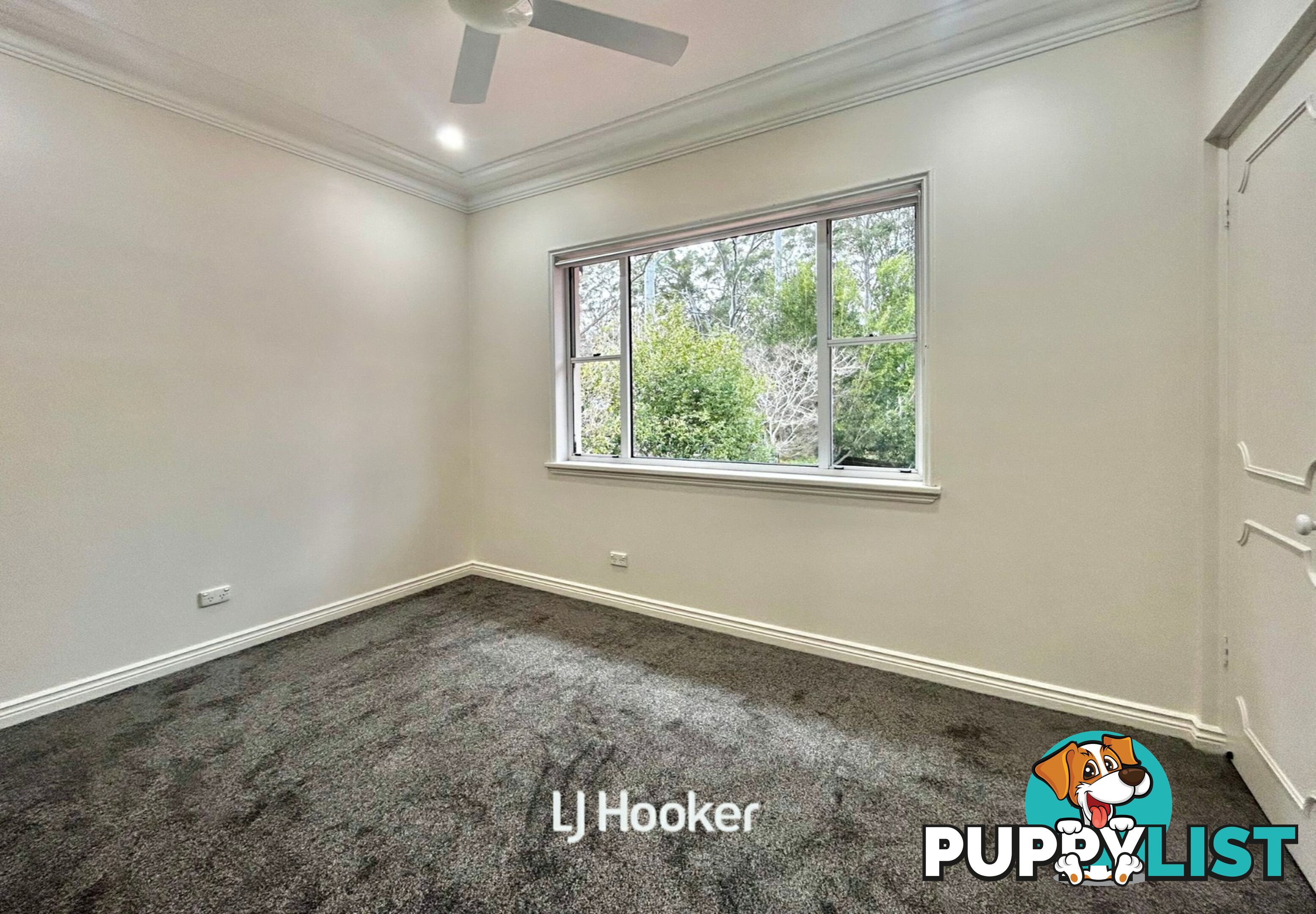 88 Pentecost Avenue PYMBLE NSW 2073