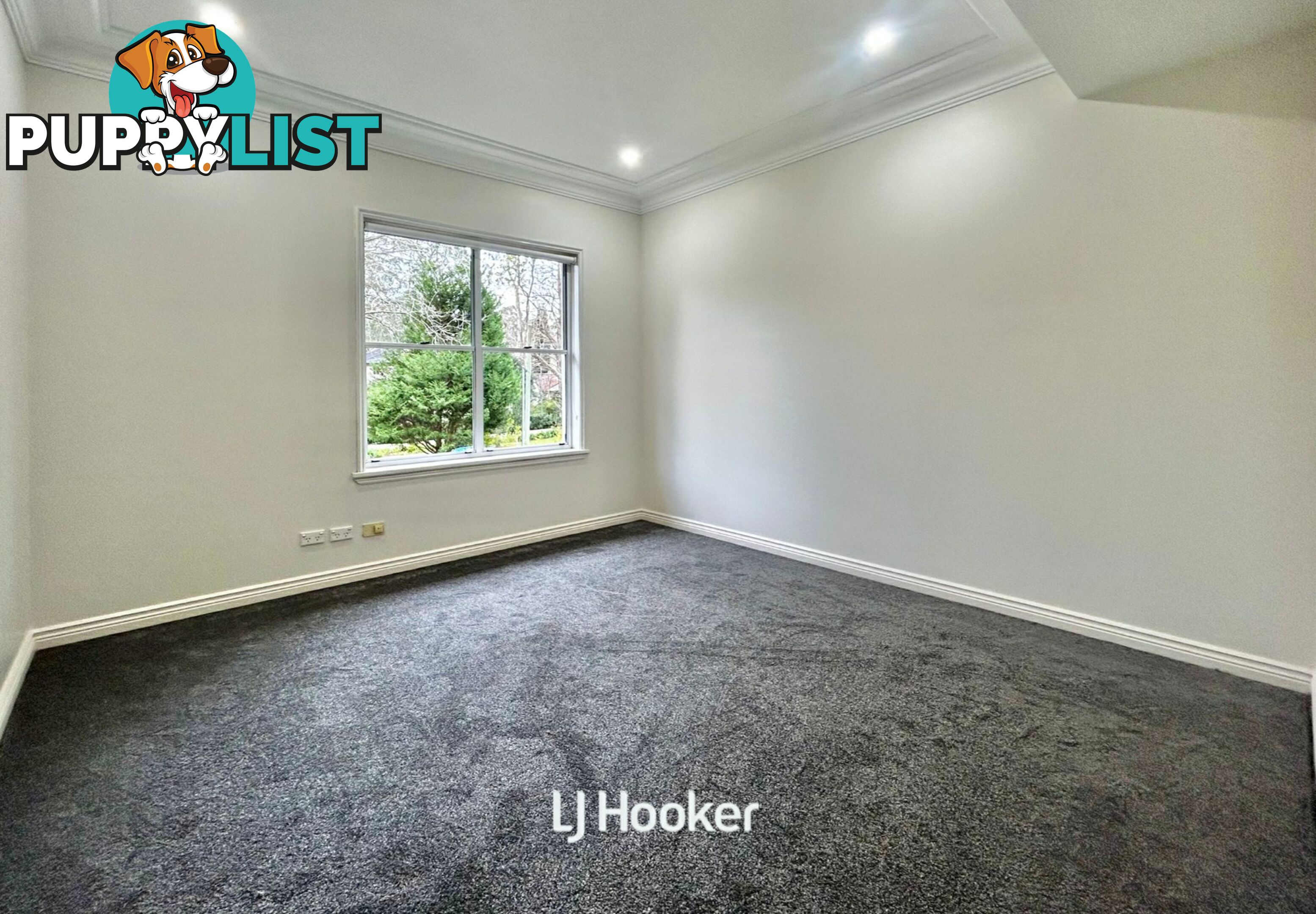 88 Pentecost Avenue PYMBLE NSW 2073