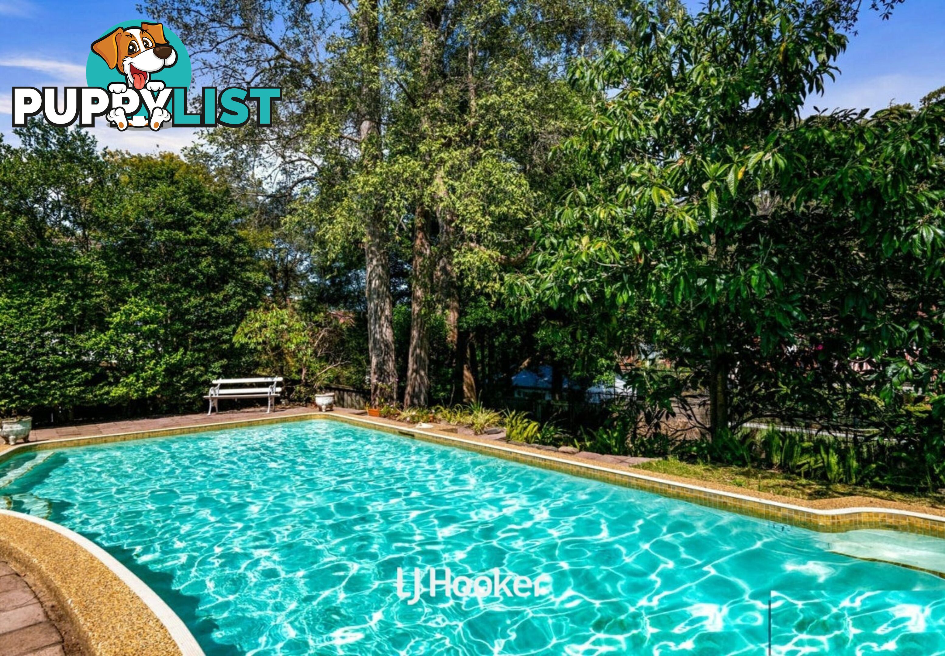 63 Stanhope Road KILLARA NSW 2071
