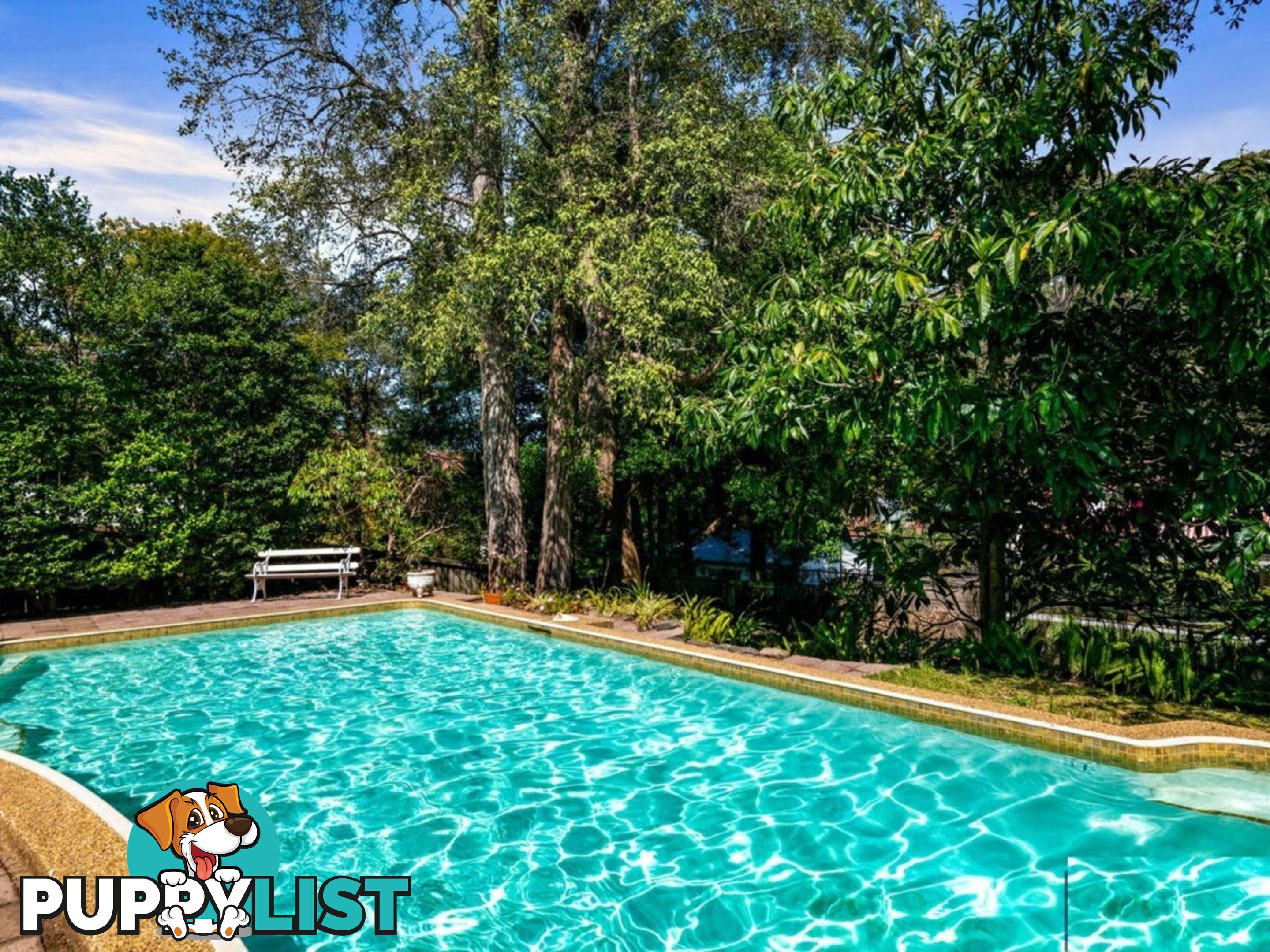 63 Stanhope Road KILLARA NSW 2071