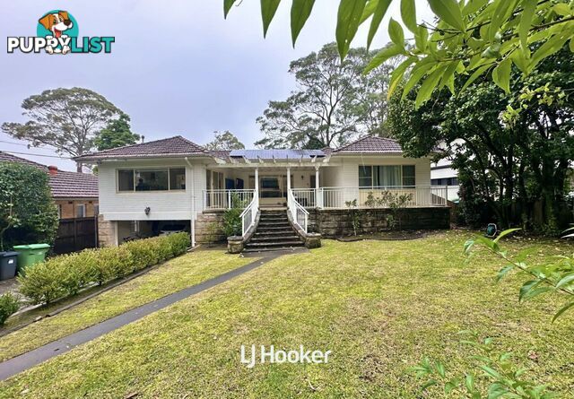 6 Cadow Street PYMBLE NSW 2073