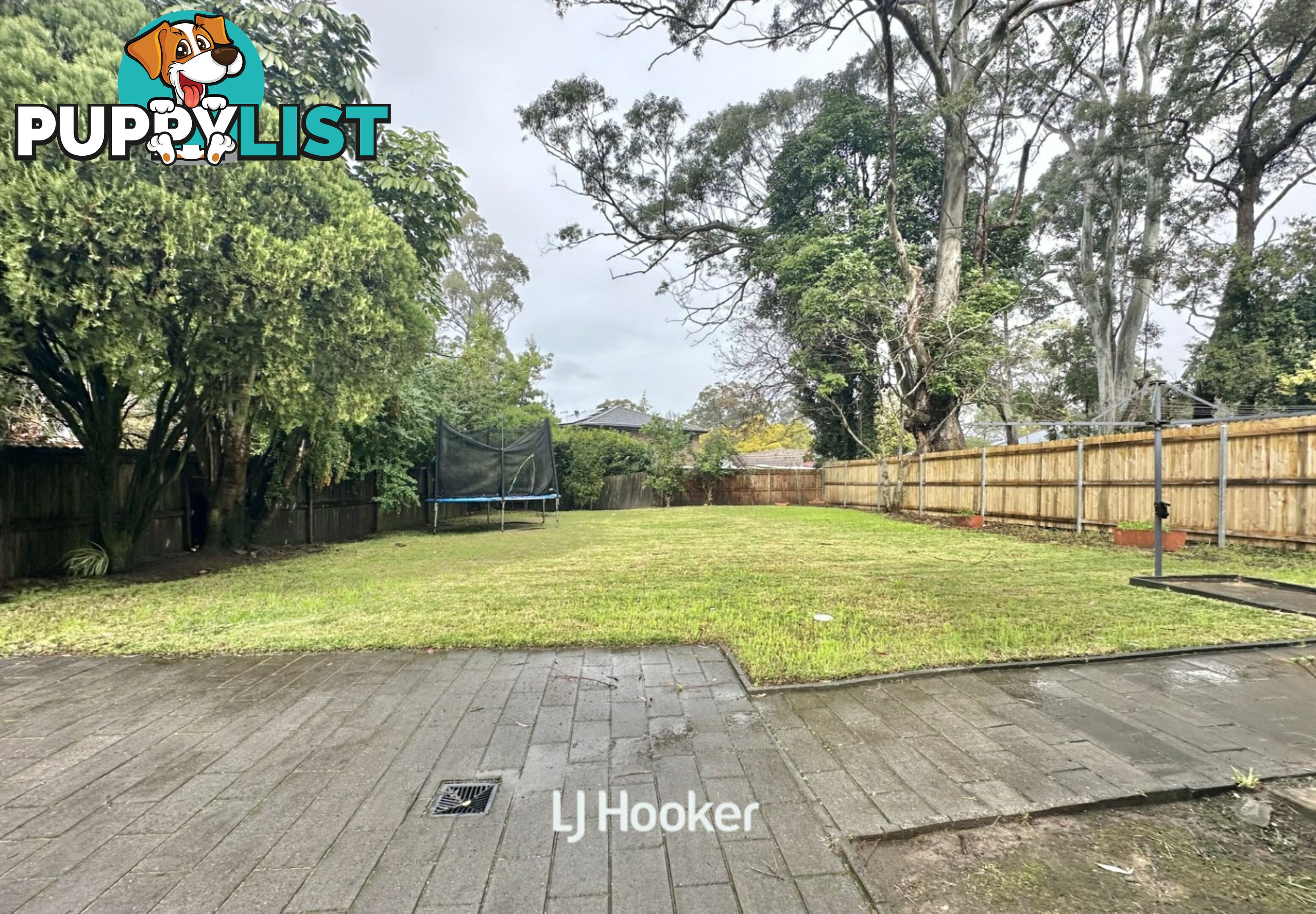 6 Cadow Street PYMBLE NSW 2073