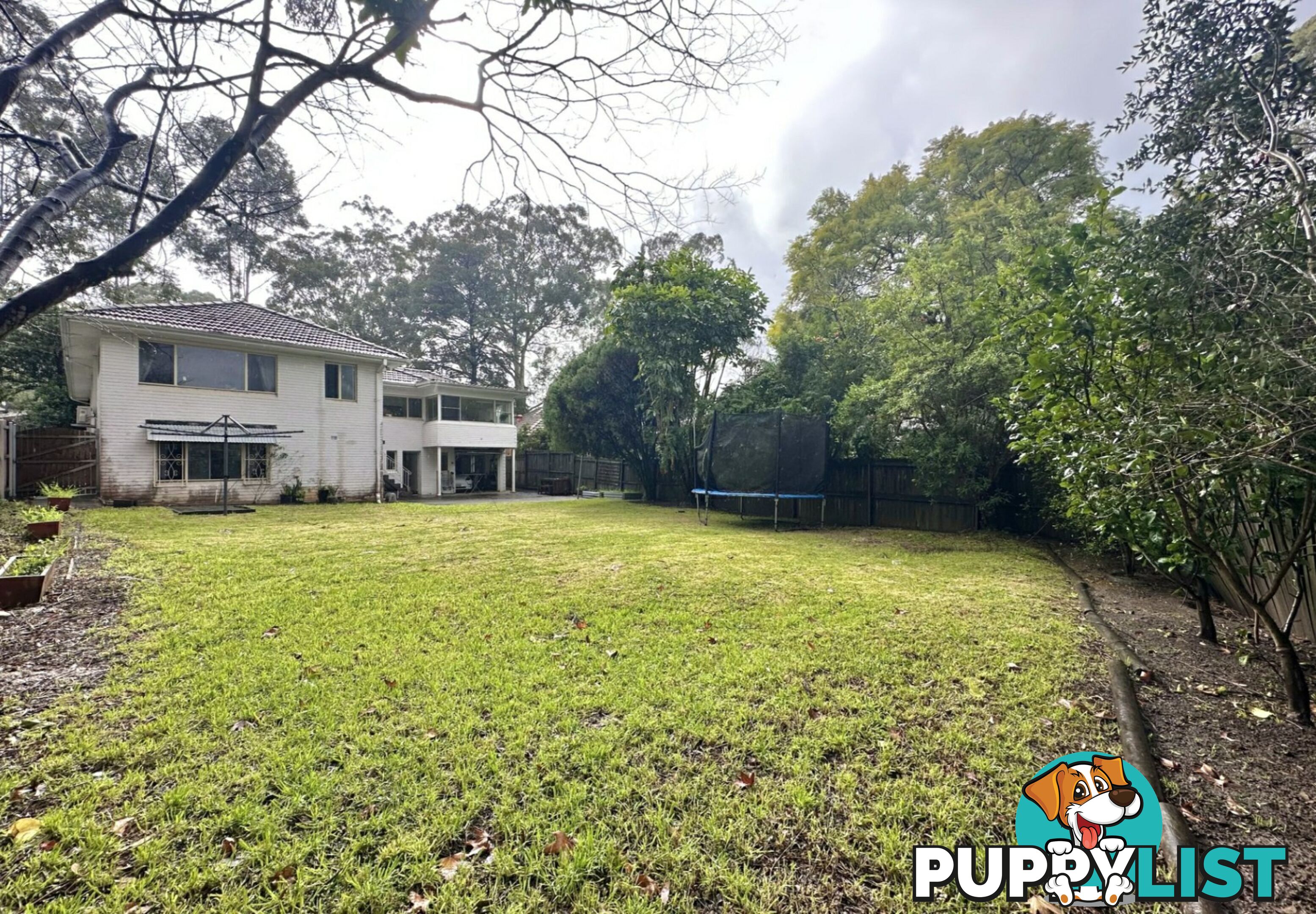 6 Cadow Street PYMBLE NSW 2073