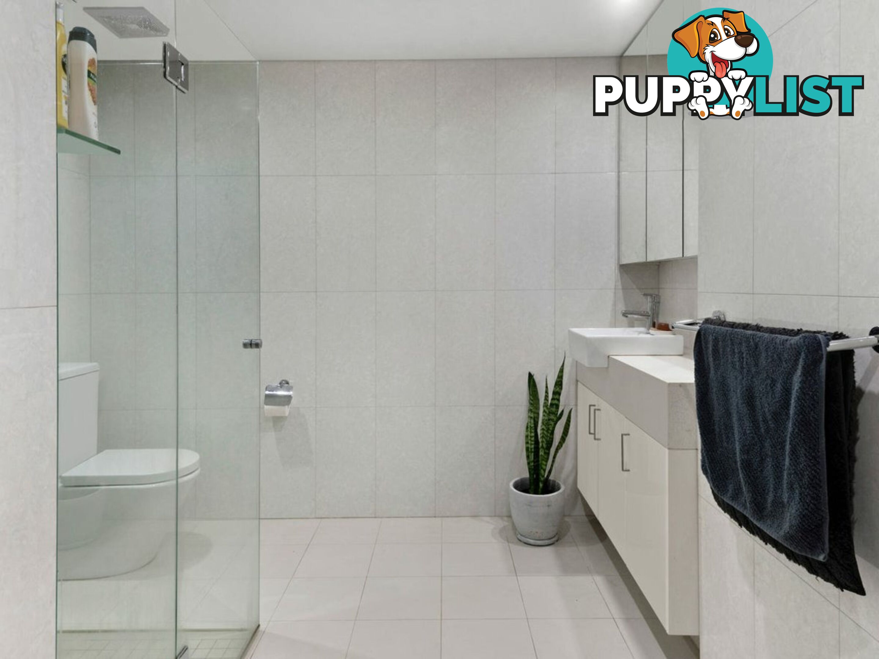 212/2-8 Bruce Ave KILLARA NSW 2071