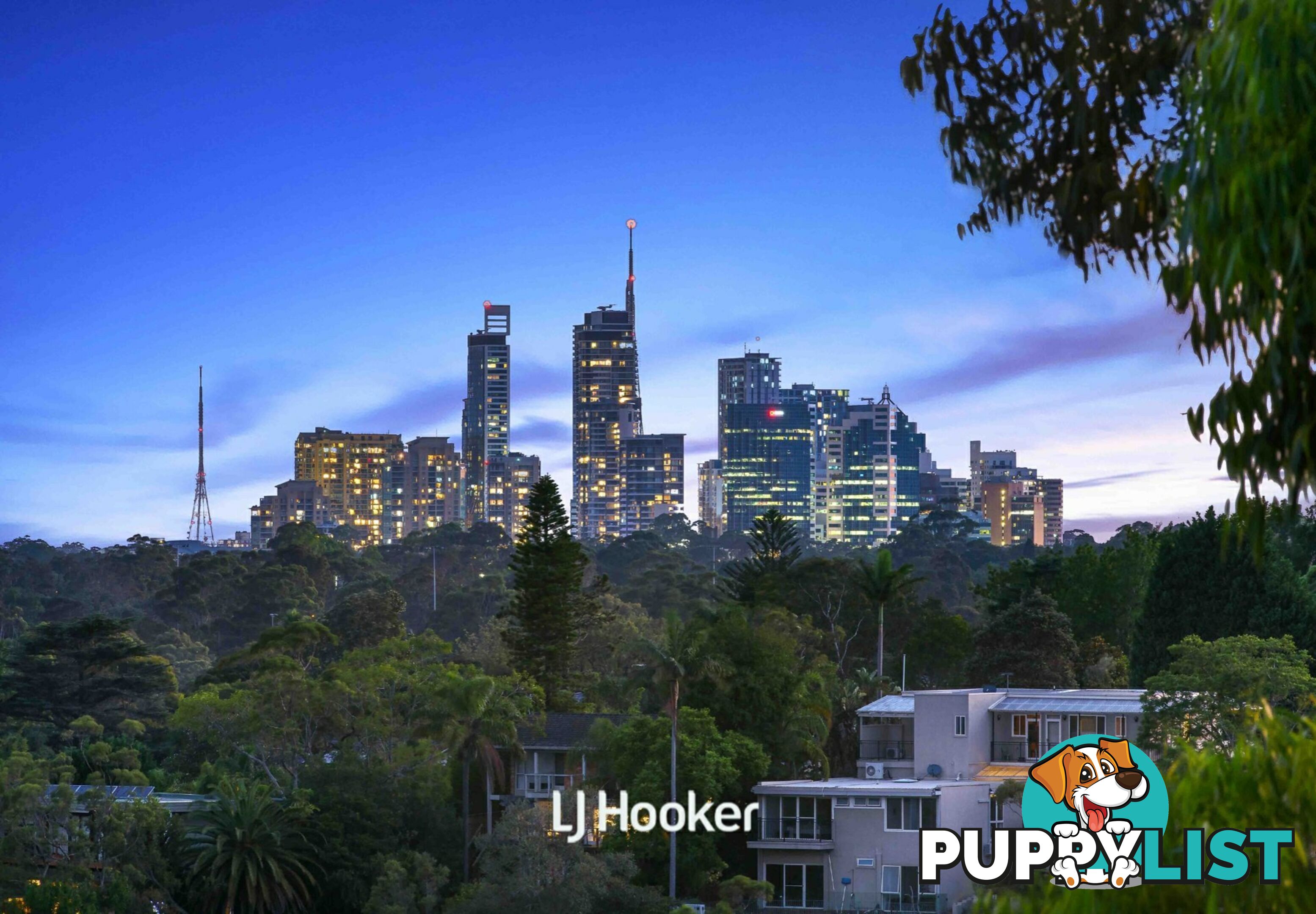 31 Cunliffe Road KILLARA NSW 2071