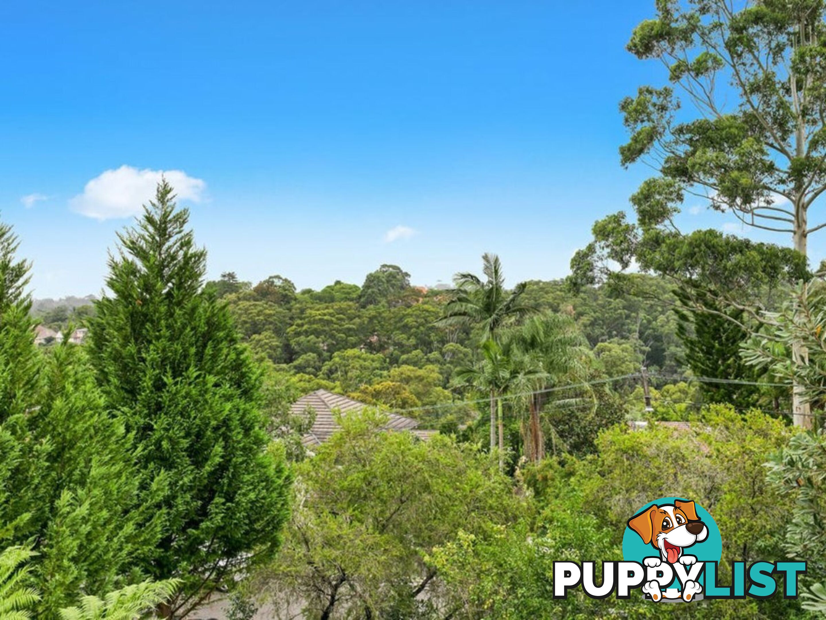 1 Mount Ida Street GORDON NSW 2072