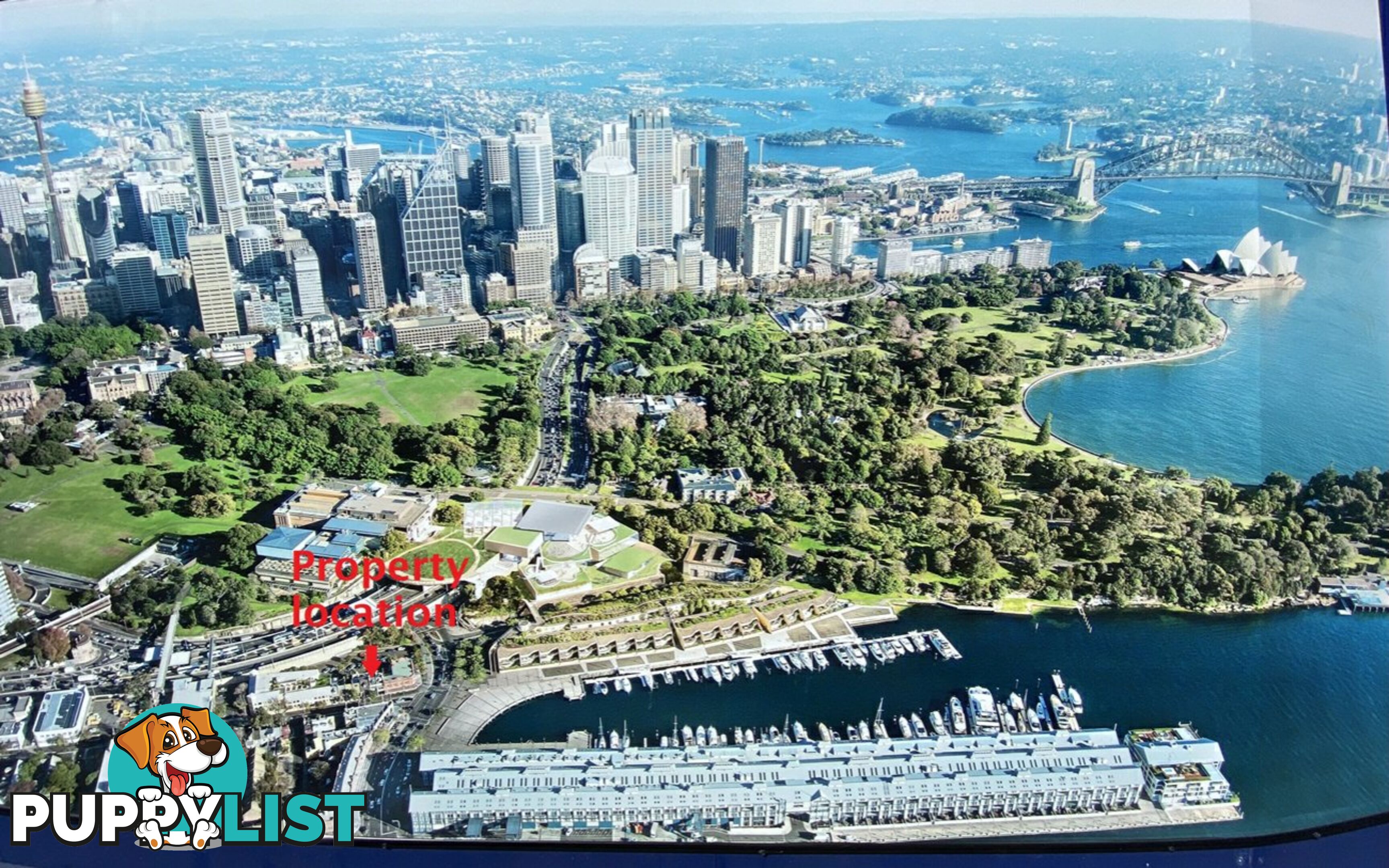 11 Bourke Street WOOLLOOMOOLOO NSW 2011