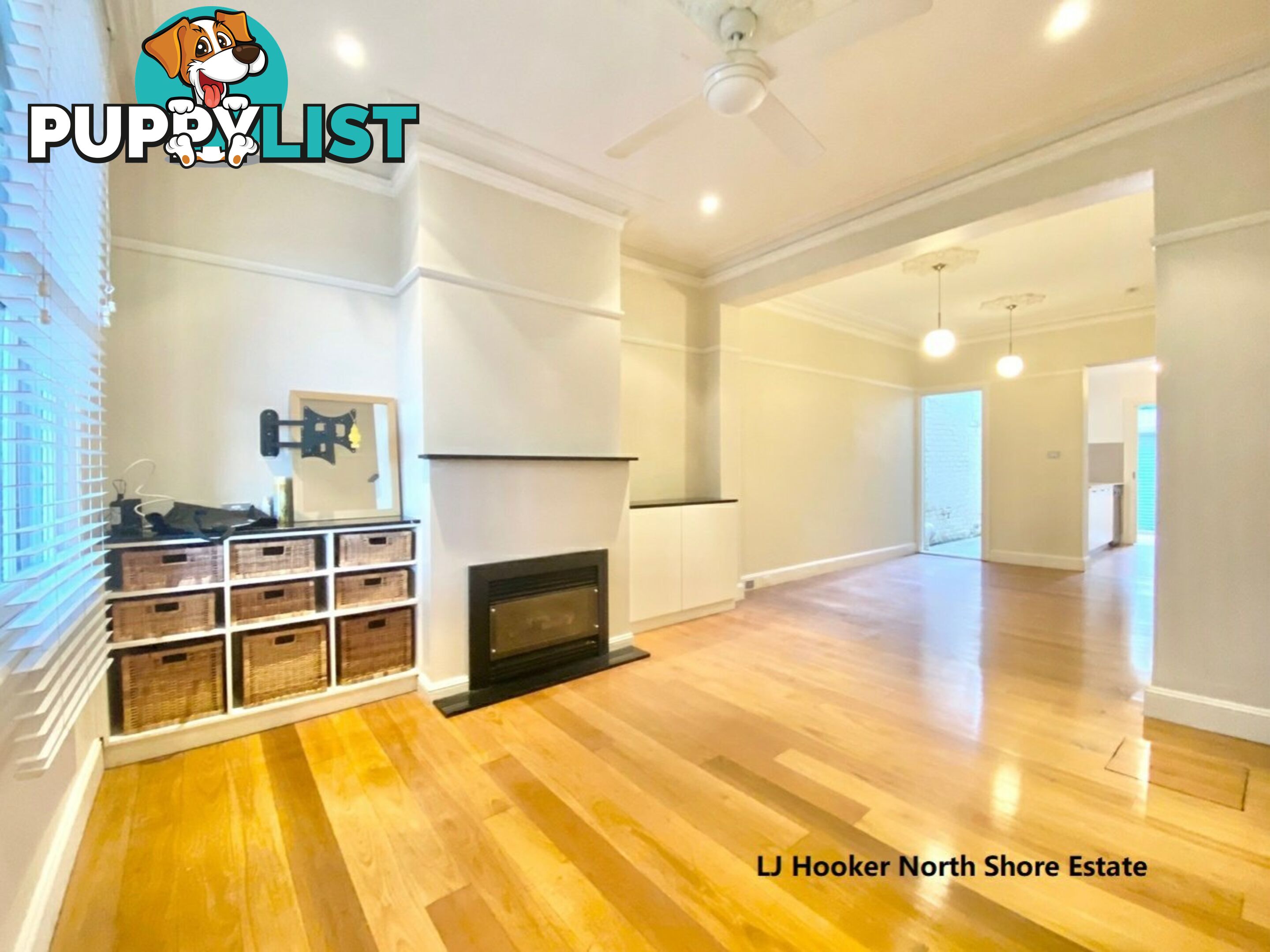 11 Bourke Street WOOLLOOMOOLOO NSW 2011