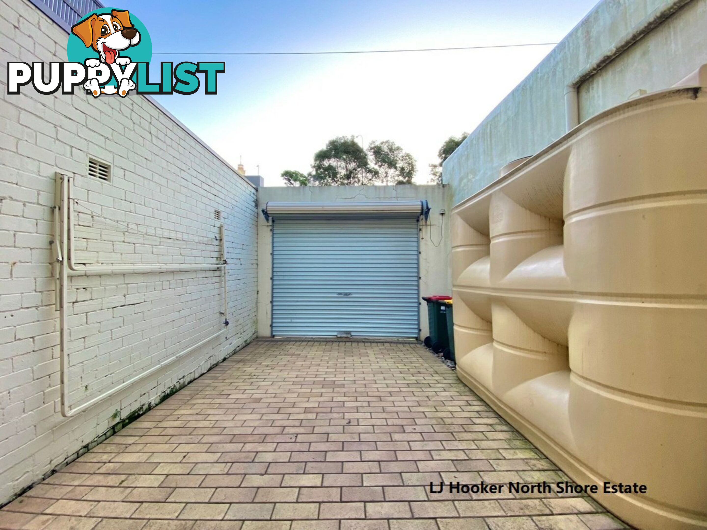 11 Bourke Street WOOLLOOMOOLOO NSW 2011