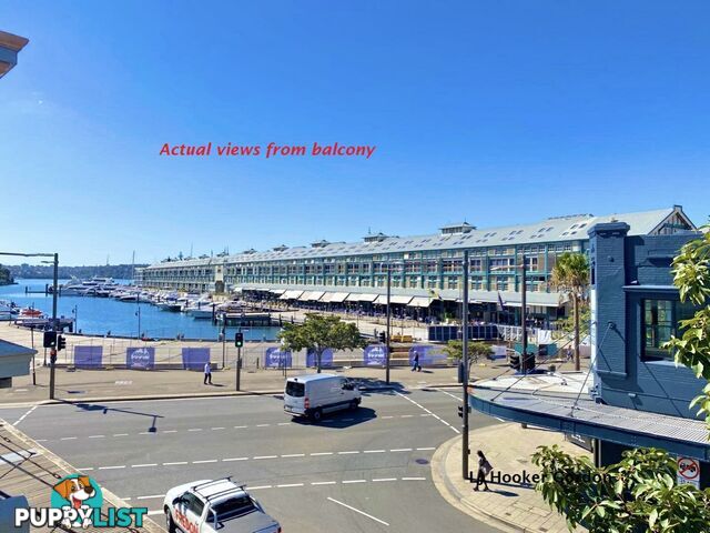 11 Bourke Street WOOLLOOMOOLOO NSW 2011