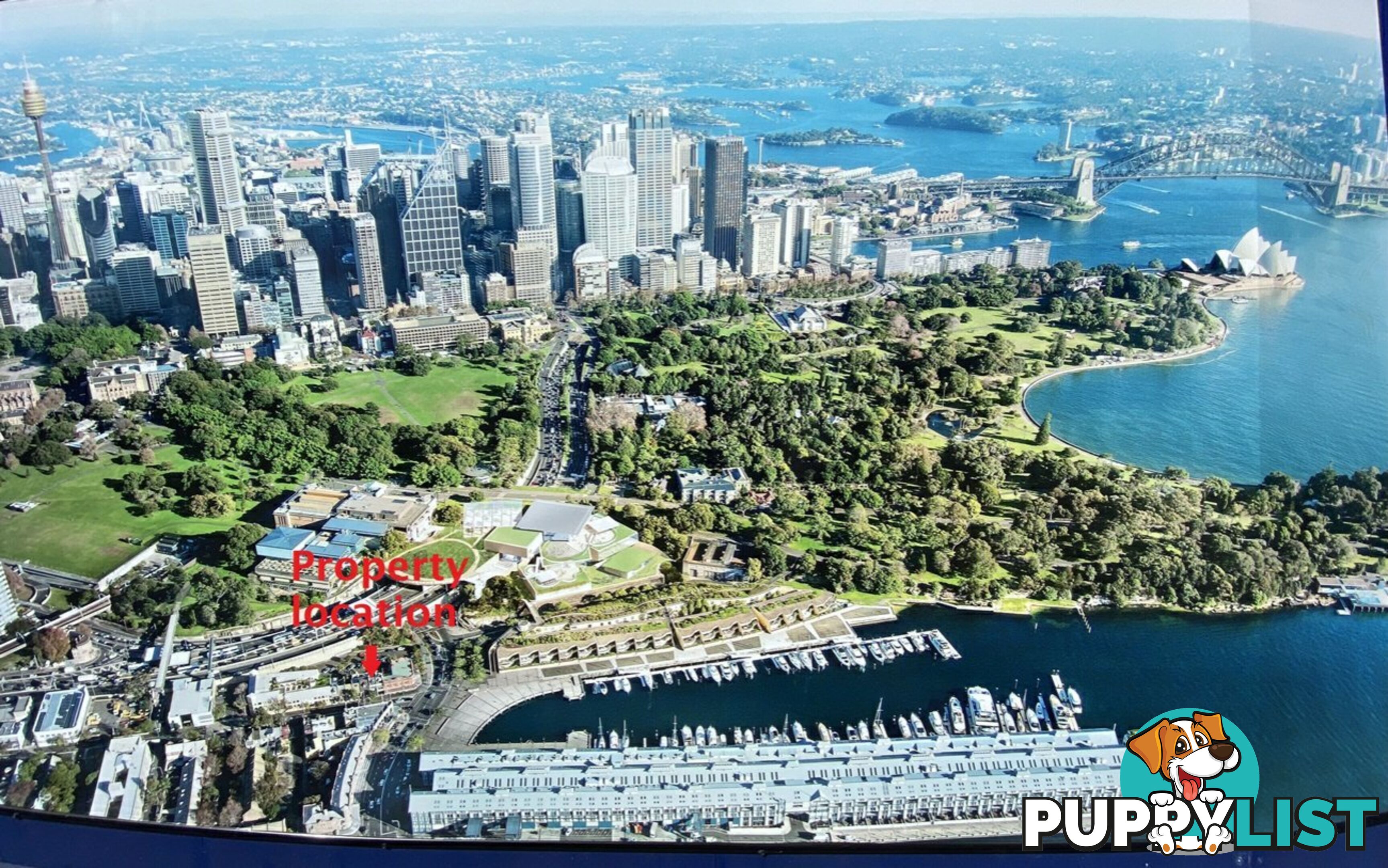11 Bourke Street WOOLLOOMOOLOO NSW 2011