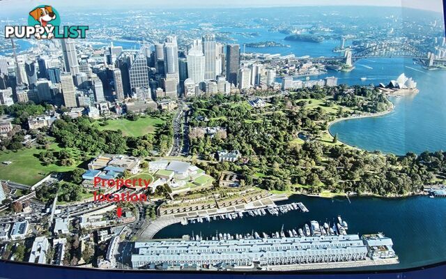 11 Bourke Street WOOLLOOMOOLOO NSW 2011