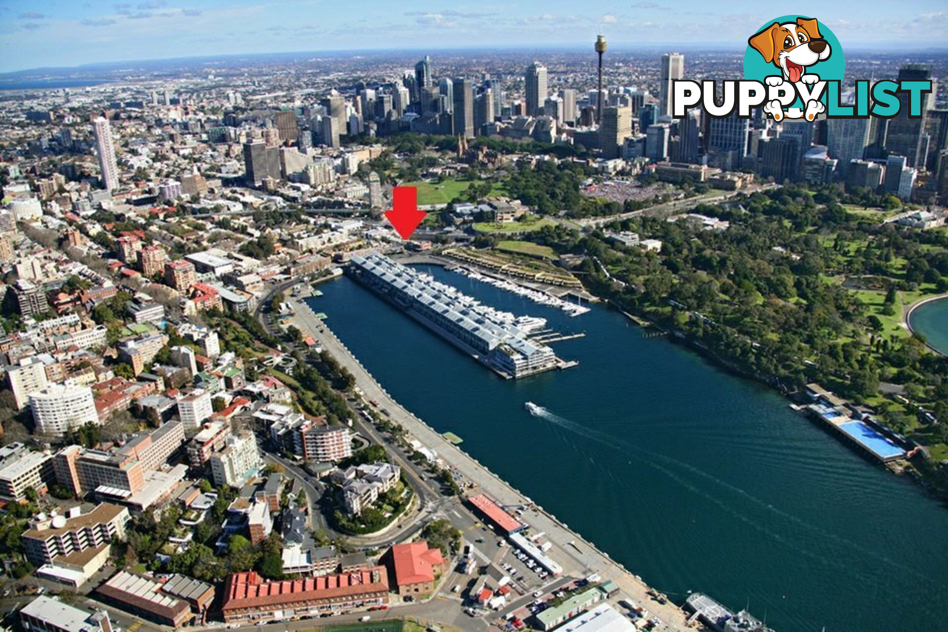 11 Bourke Street WOOLLOOMOOLOO NSW 2011