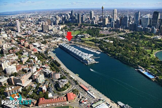 11 Bourke Street WOOLLOOMOOLOO NSW 2011
