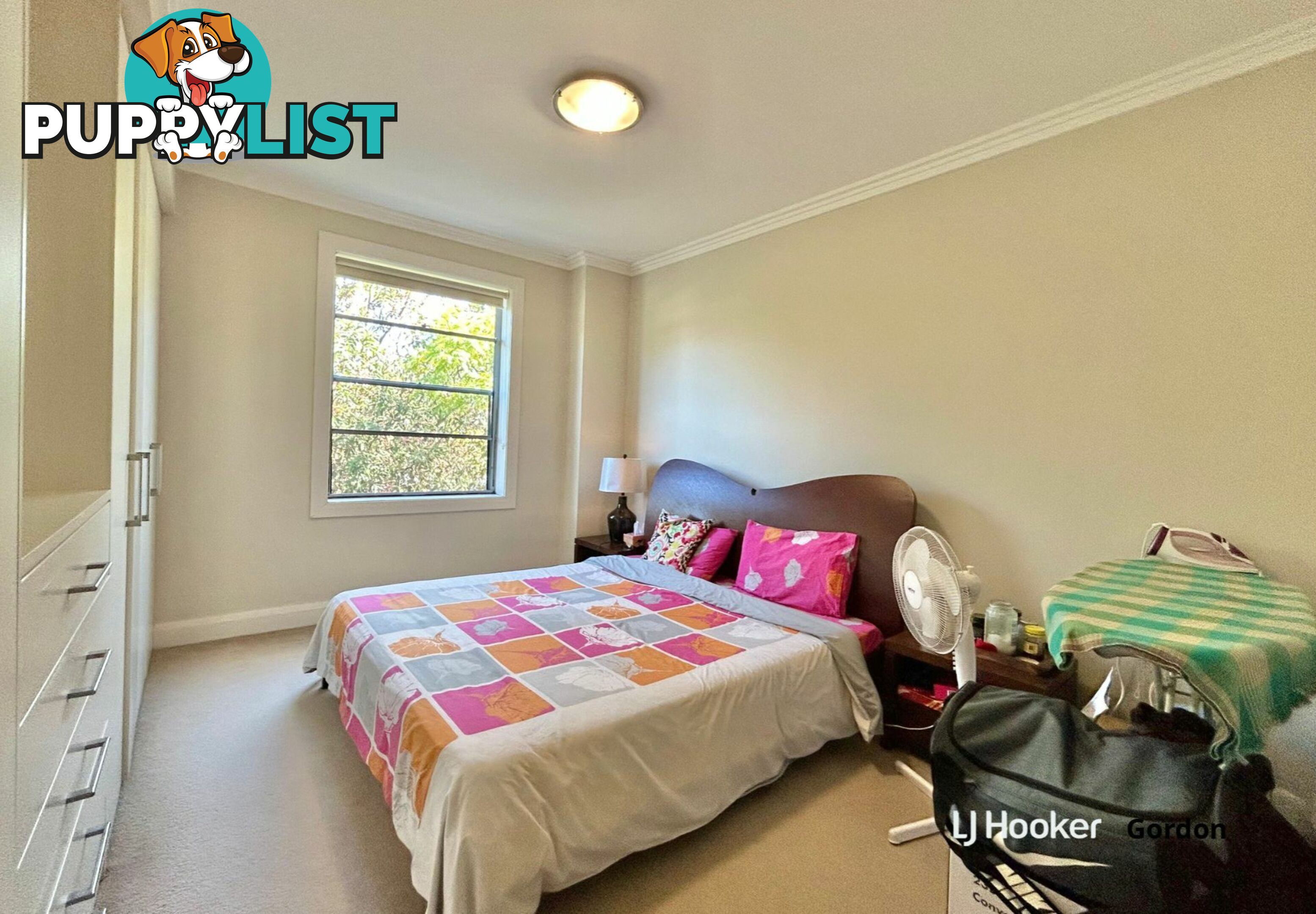 A202/15 Moree Street GORDON NSW 2072
