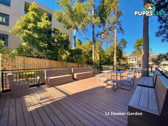 504/20-24 McIntyre St GORDON NSW 2072
