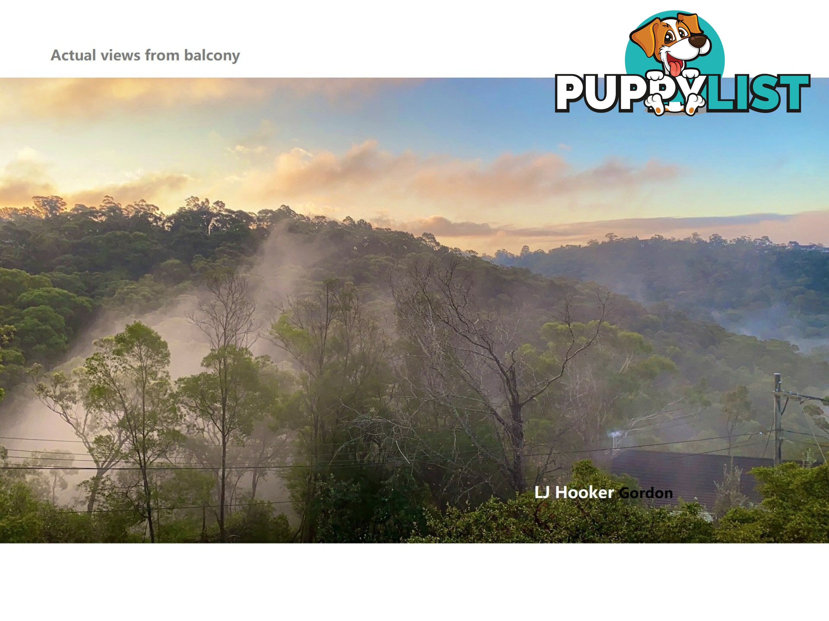 33 Robinson St EAST LINDFIELD NSW 2070