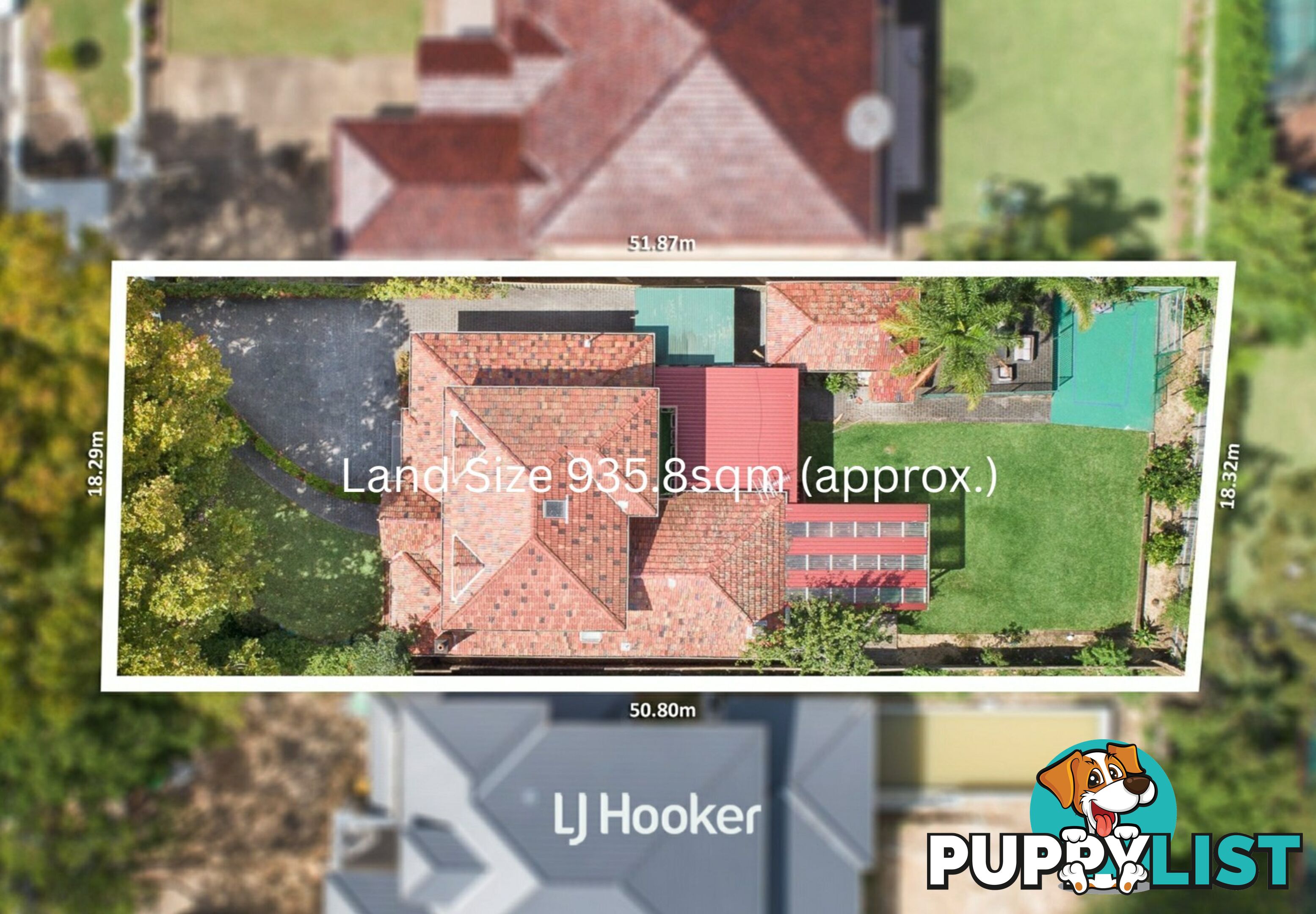 105 Springdale Road EAST KILLARA NSW 2071