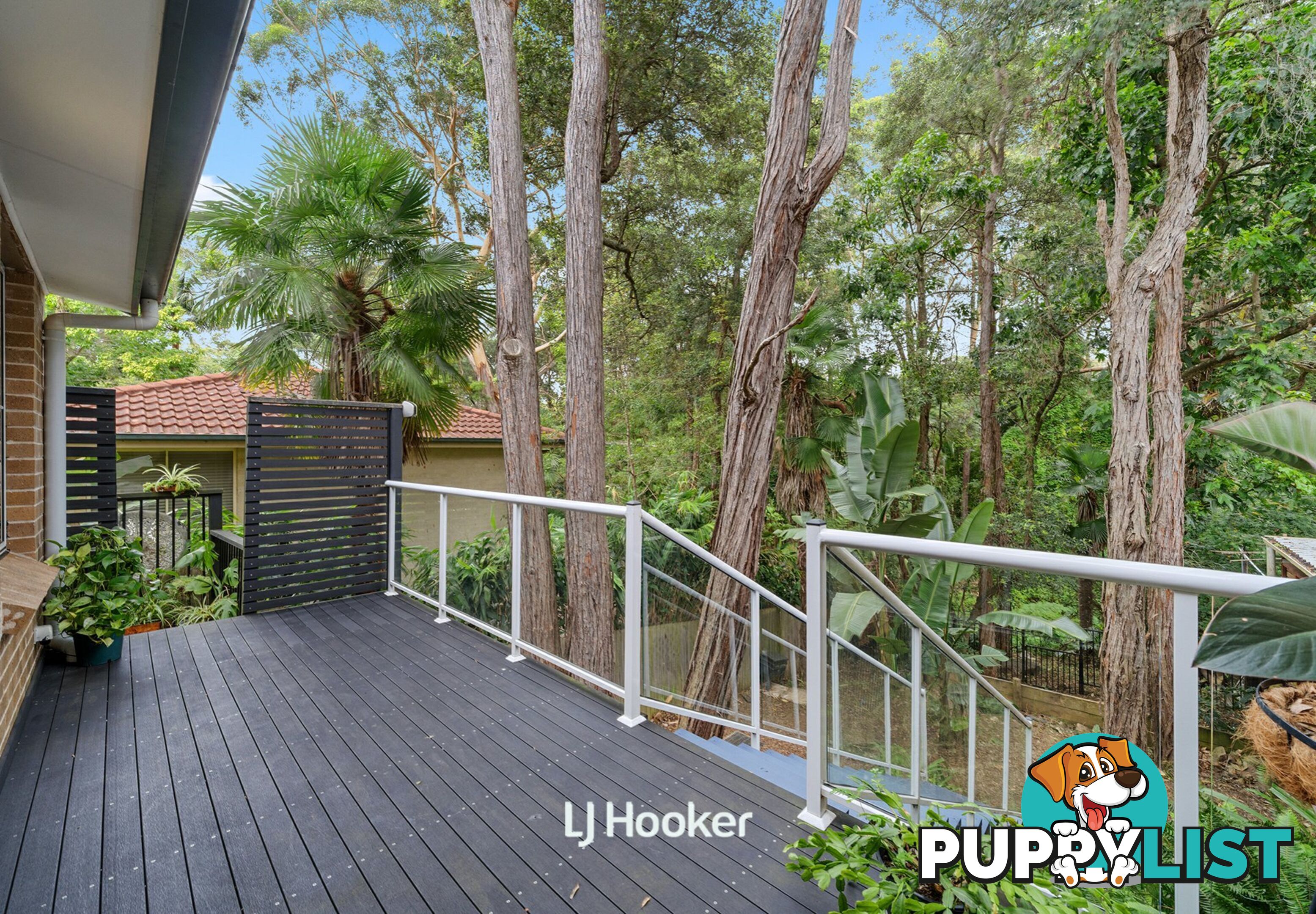 50B Hinemoa Ave NORMANHURST NSW 2076