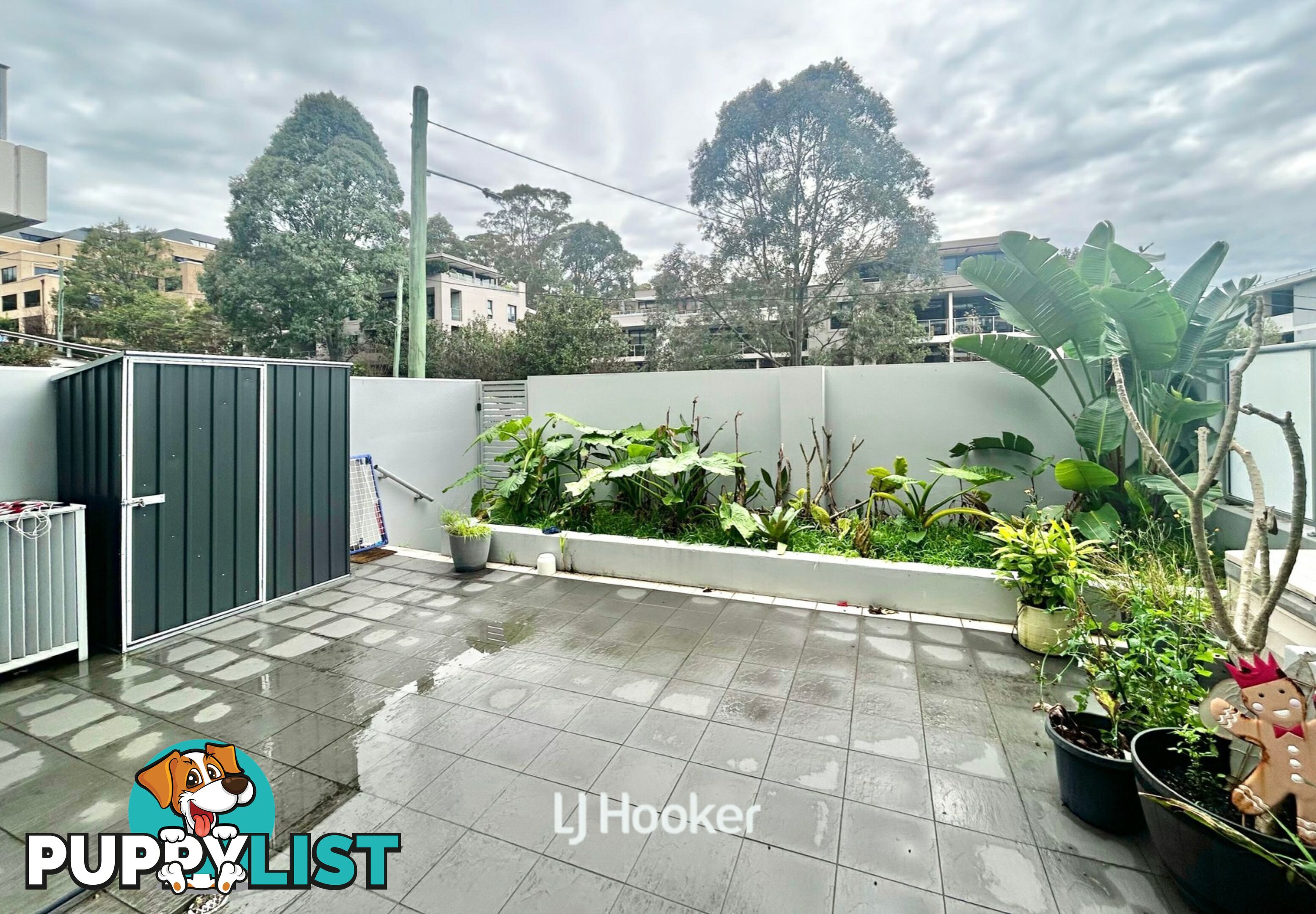 231/3 McIntyre Street GORDON NSW 2072
