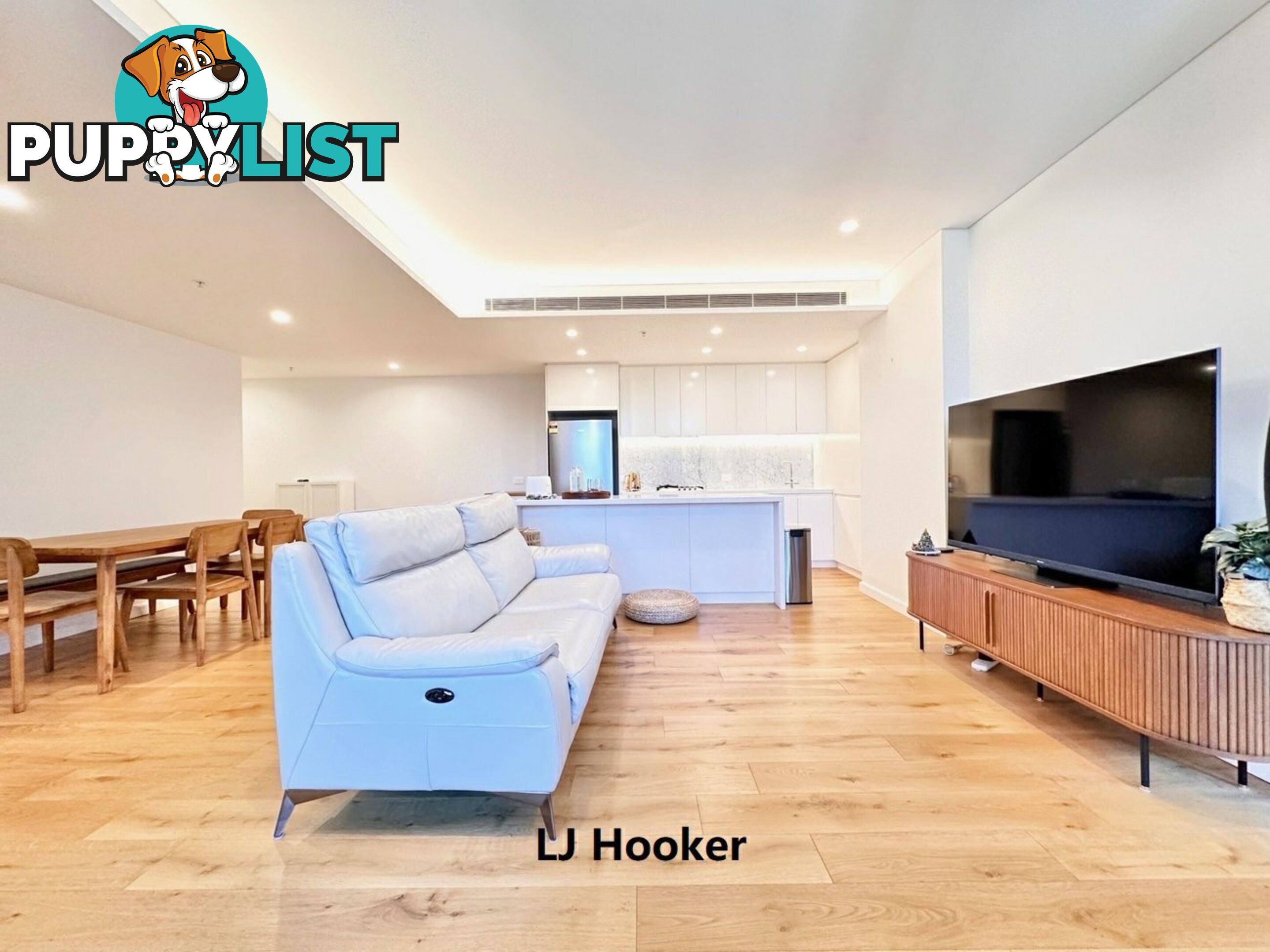 213/17 Albert Ave CHATSWOOD NSW 2067