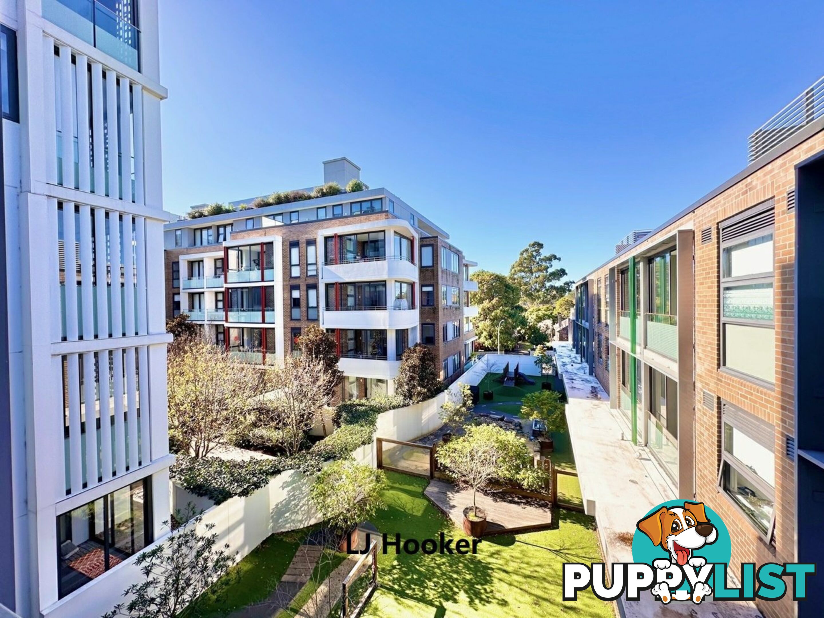 213/17 Albert Ave CHATSWOOD NSW 2067