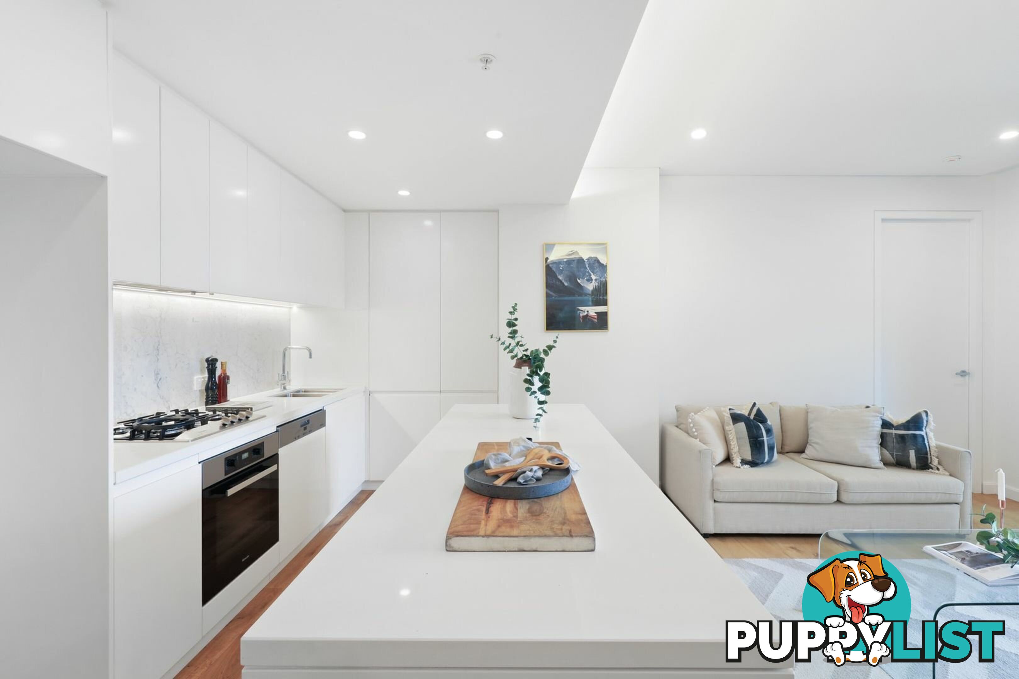 213/17 Albert Ave CHATSWOOD NSW 2067