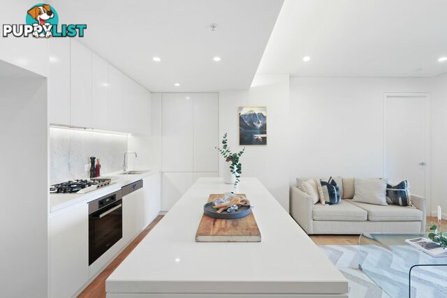 213/17 Albert Ave CHATSWOOD NSW 2067