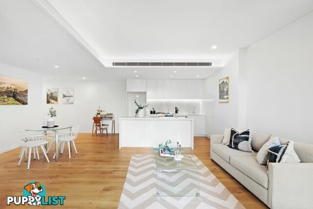 213/17 Albert Ave CHATSWOOD NSW 2067