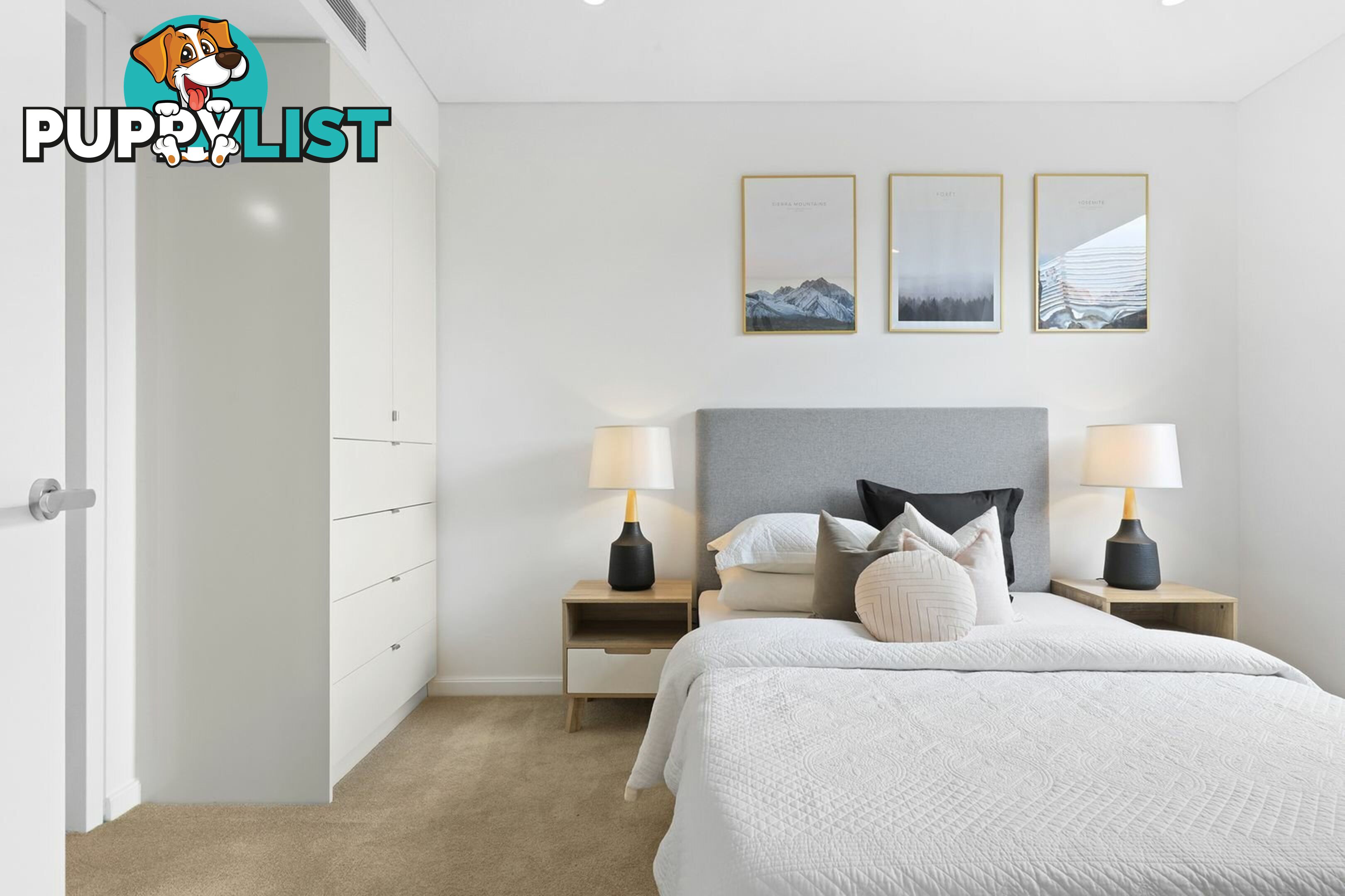 213/17 Albert Ave CHATSWOOD NSW 2067