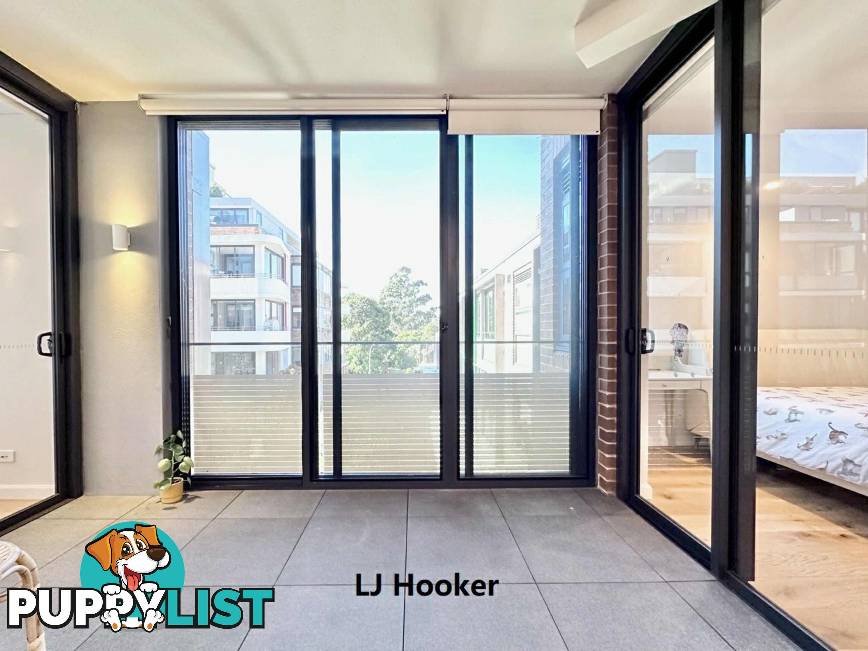 213/17 Albert Ave CHATSWOOD NSW 2067