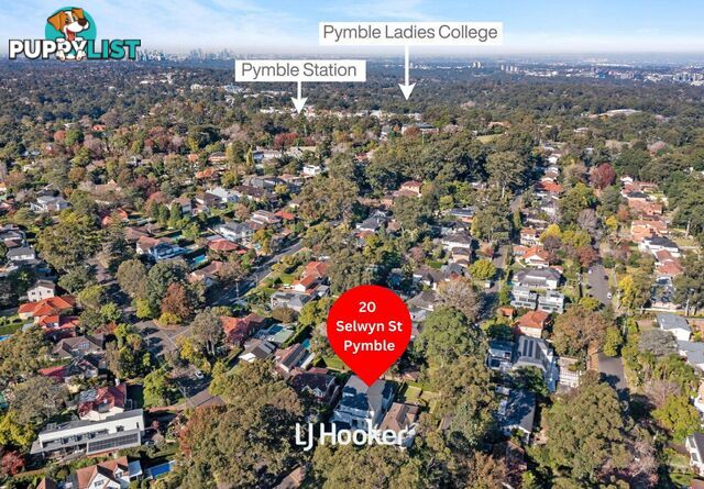 20 Selwyn Street PYMBLE NSW 2073