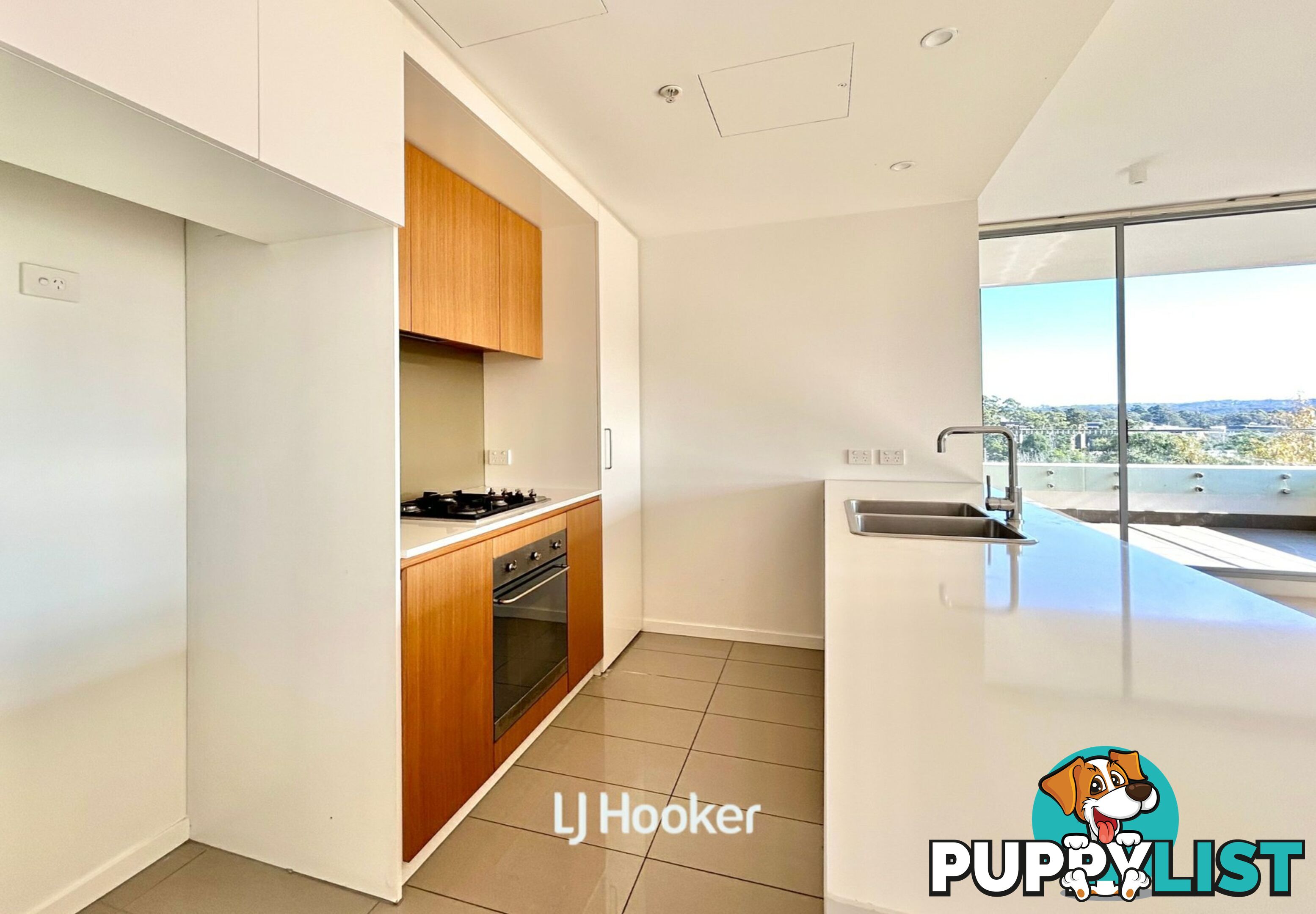 A909/2 Saunders Close MACQUARIE PARK NSW 2113
