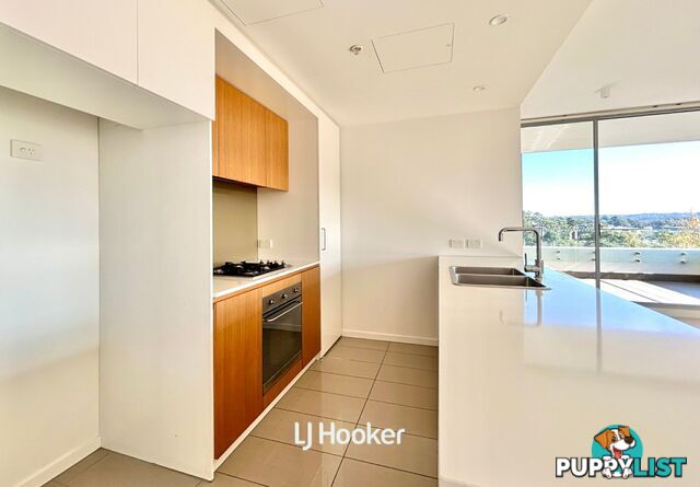 A909/2 Saunders Close MACQUARIE PARK NSW 2113