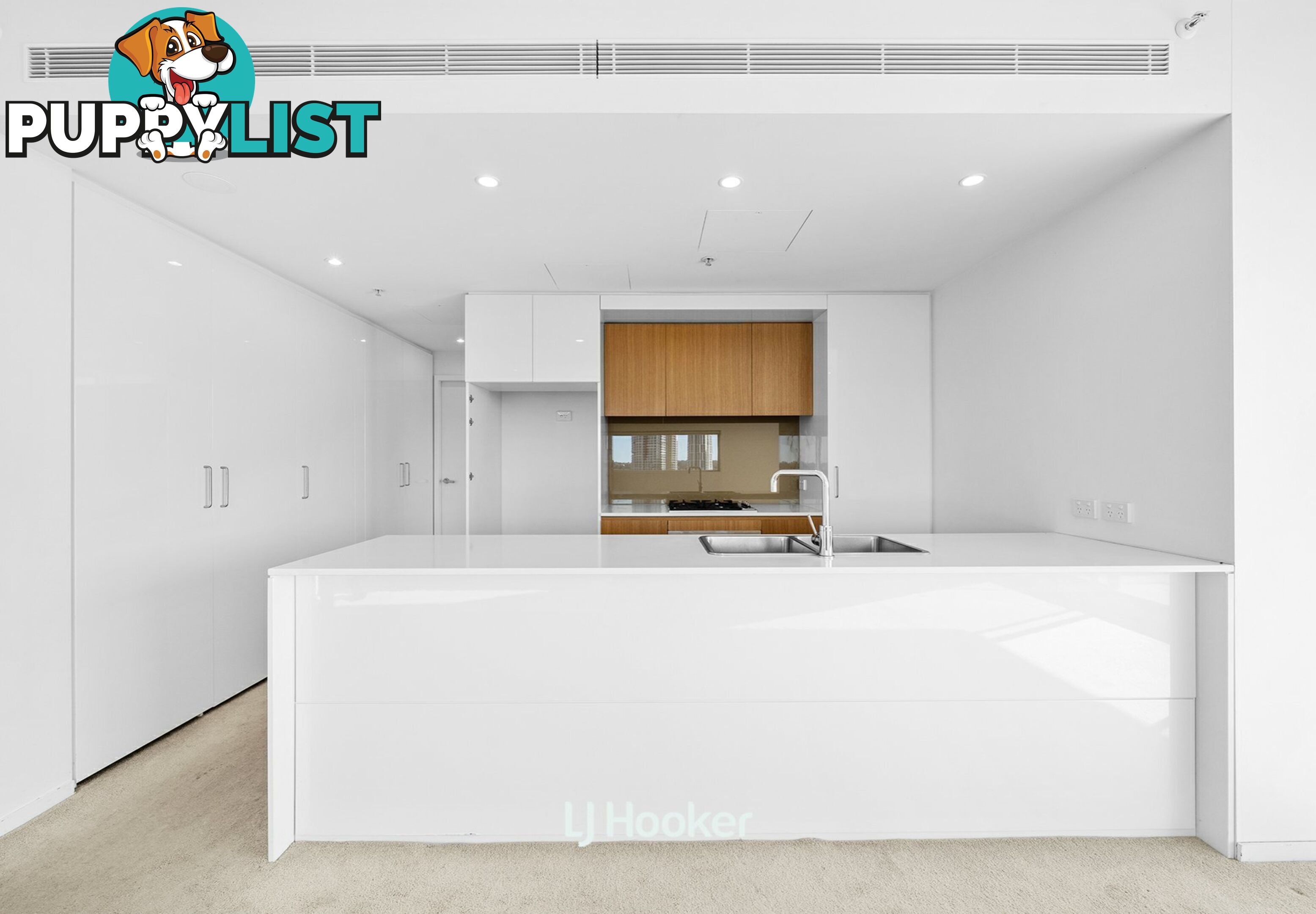 A909/2 Saunders Close MACQUARIE PARK NSW 2113