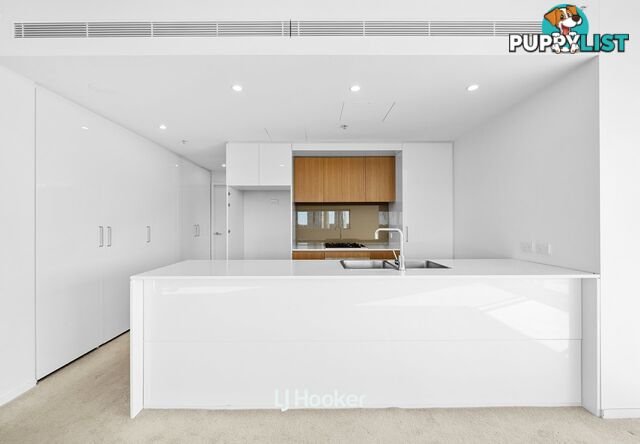 A909/2 Saunders Close MACQUARIE PARK NSW 2113