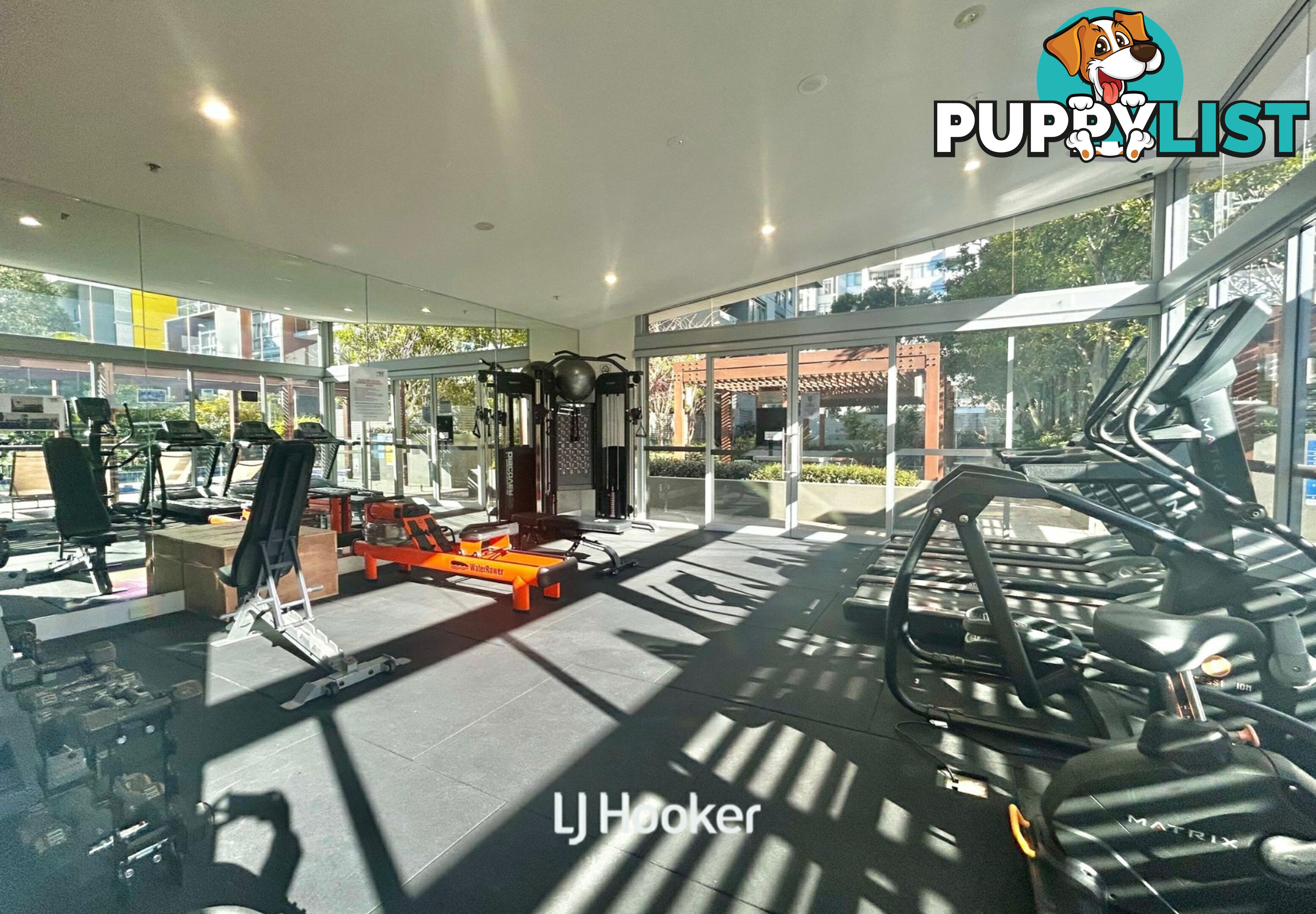 A909/2 Saunders Close MACQUARIE PARK NSW 2113