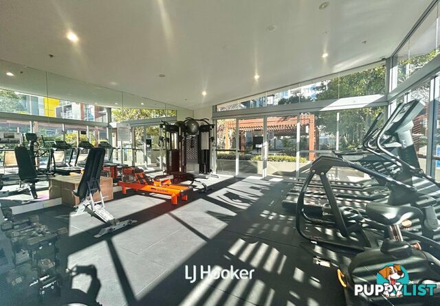 A909/2 Saunders Close MACQUARIE PARK NSW 2113