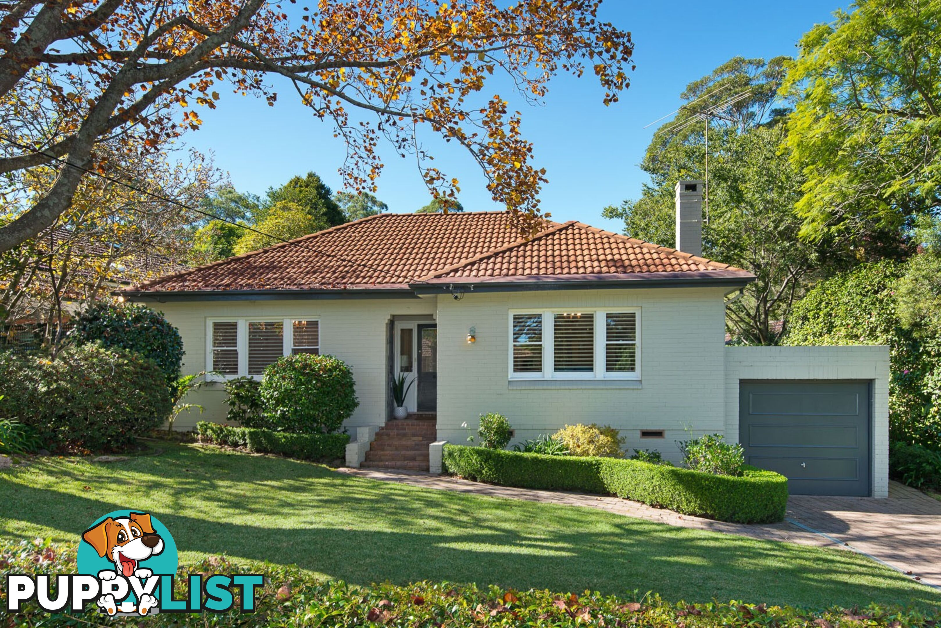 47 Norfolk Street KILLARA NSW 2071