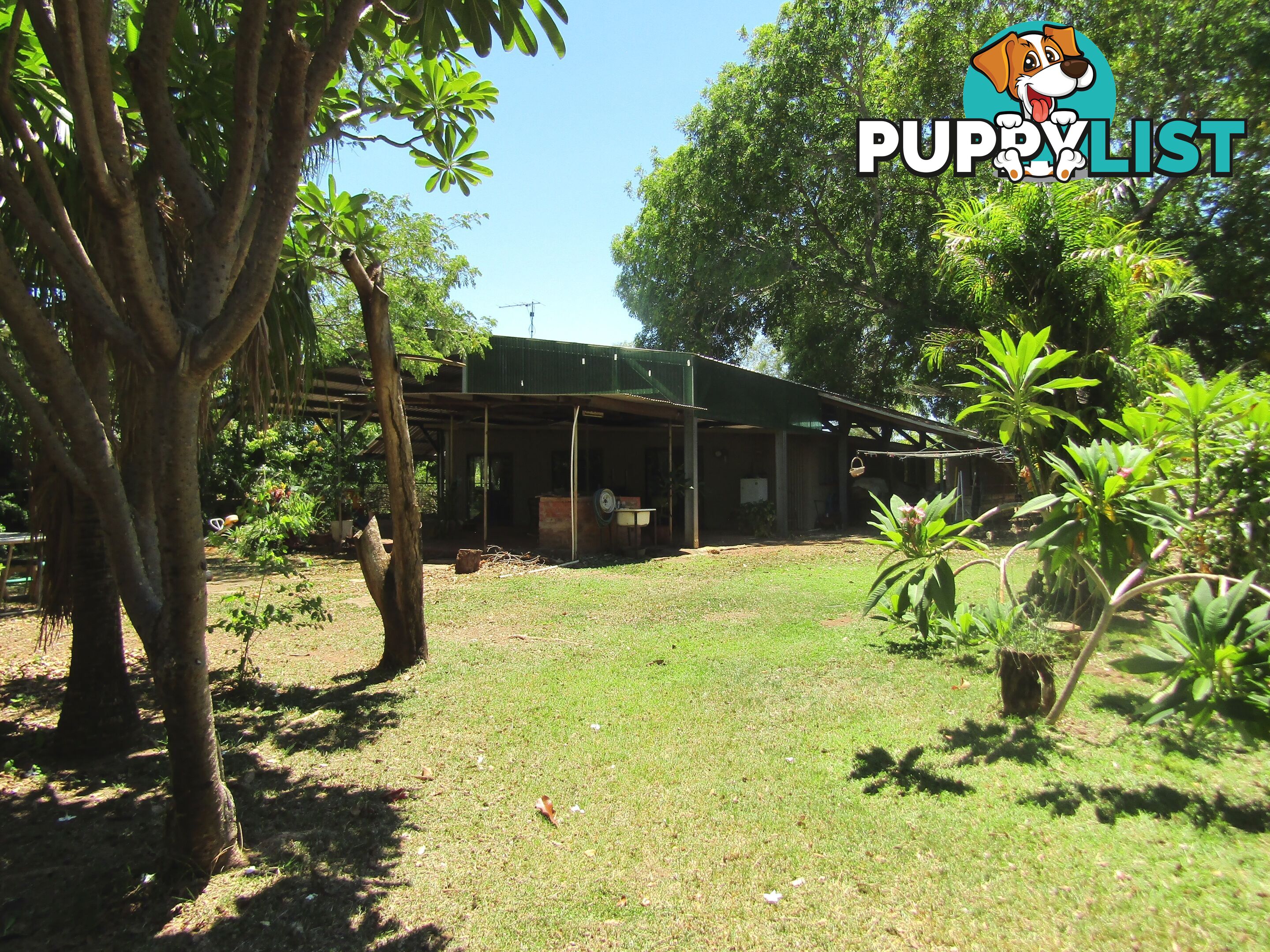 19 Cherubin Road Kununurra WA 6743