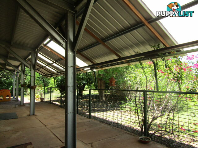 19 Cherubin Road Kununurra WA 6743